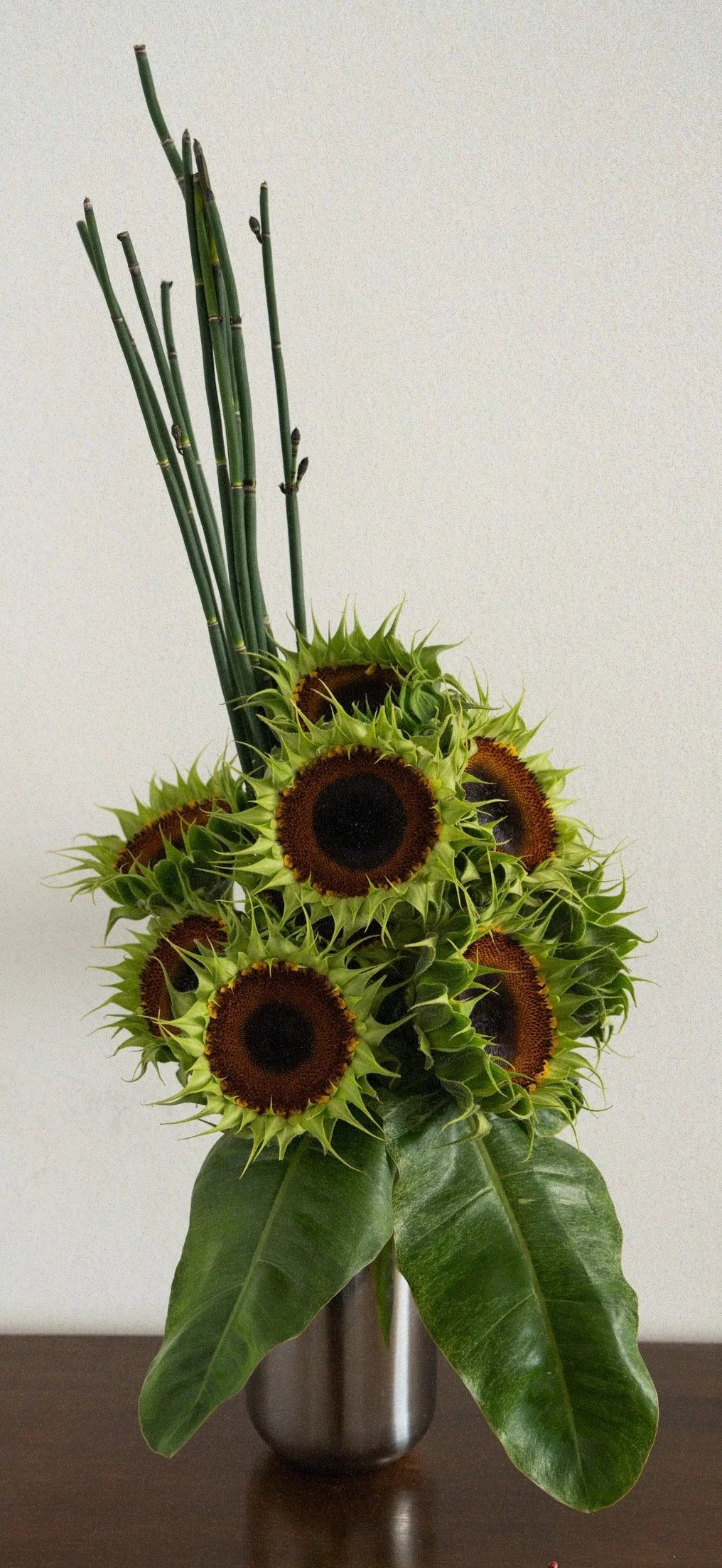 Modern arrangement with petal stripped sunflowers, leaves and horsetails in stainless steel vase.