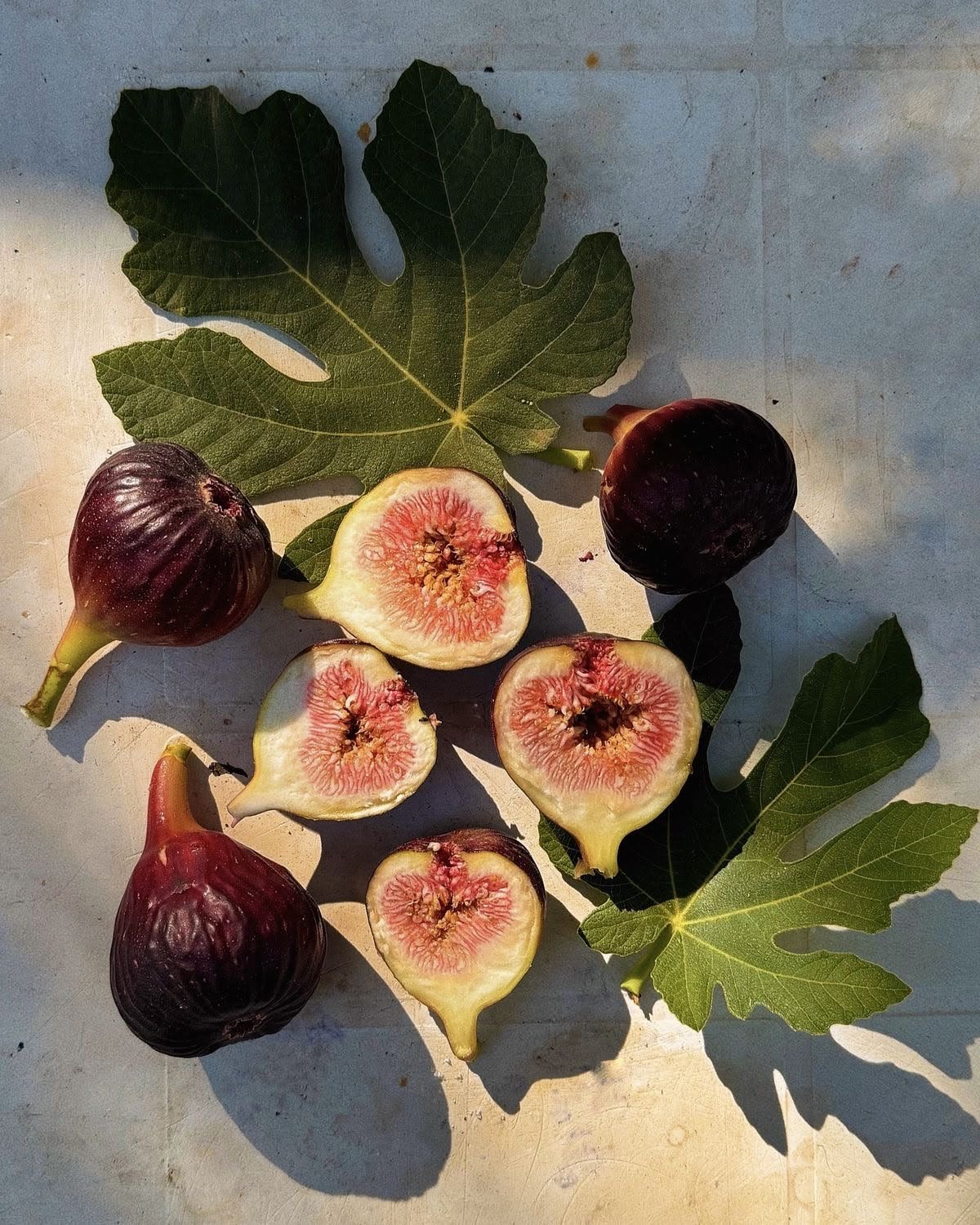 Camargue fig leaf and sea salt candle with two ripe figs, a fig leaf, and a pile of coarse sea salt.