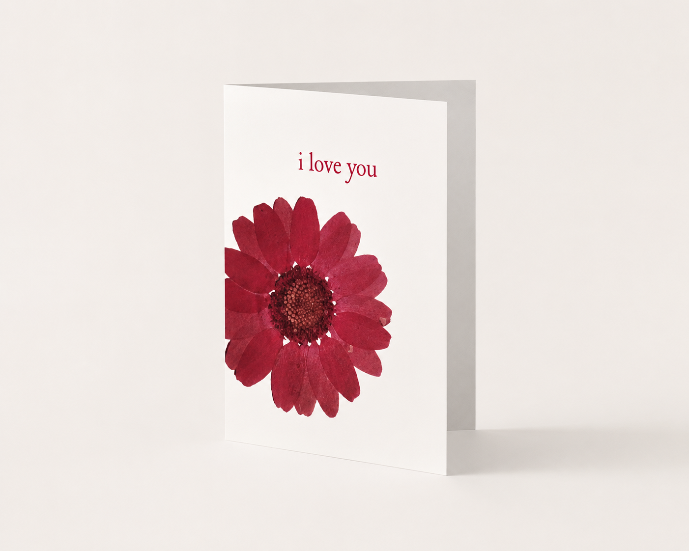 Grove botanical greeting cards printed on hemp paper with pressed flower-inspired artwork