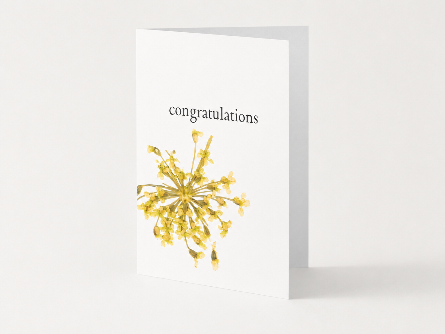 Grove botanical greeting cards printed on hemp paper with pressed flower-inspired artwork