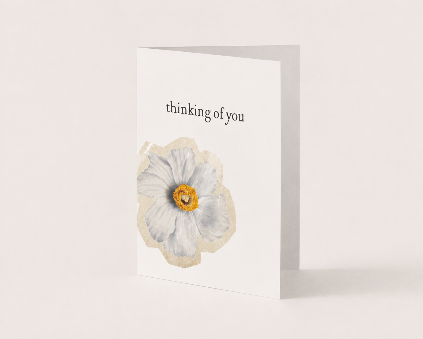 Grove botanical greeting cards printed on hemp paper with pressed flower-inspired artwork