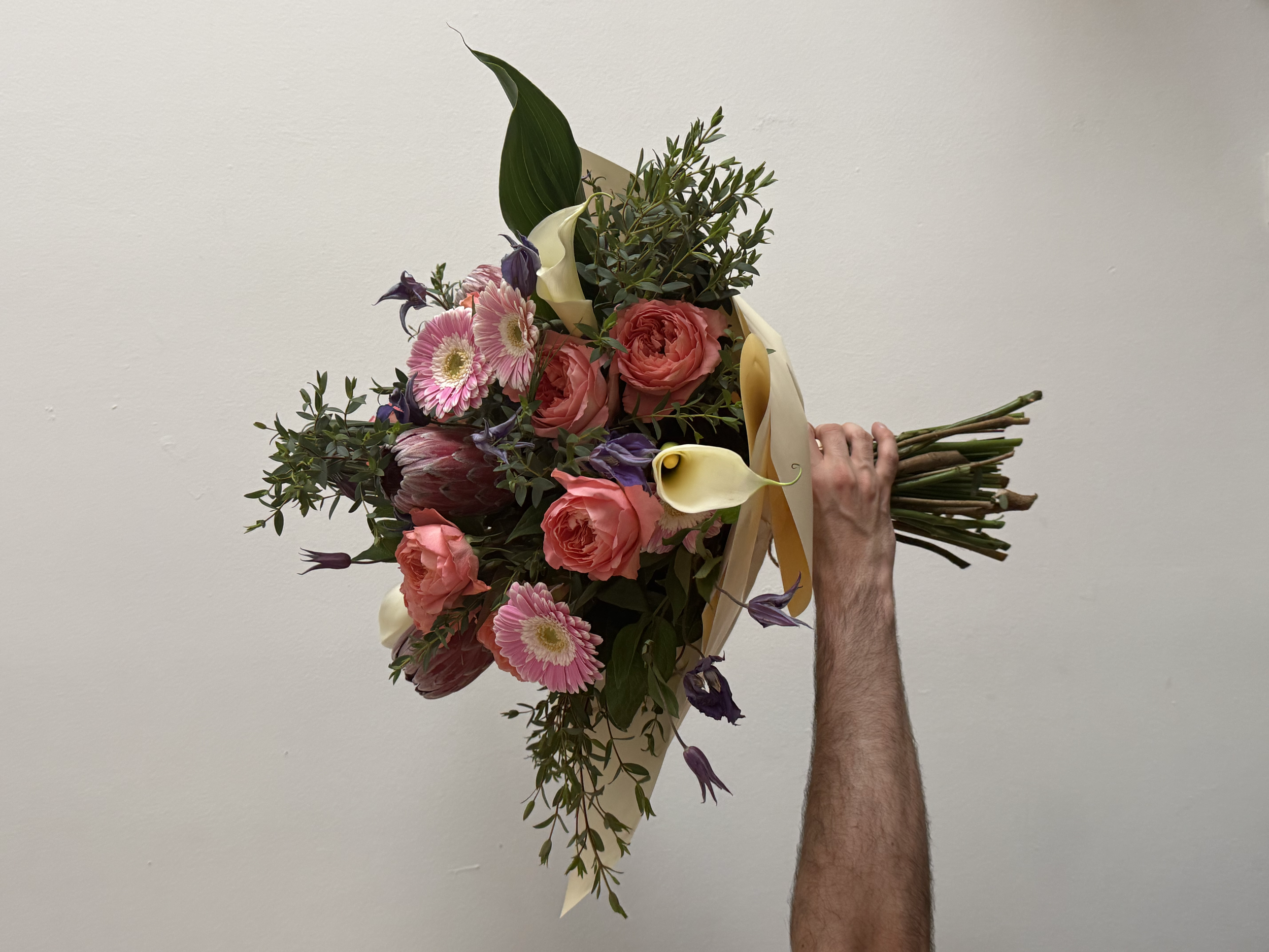 Cœur Sauvage — Wild Heart