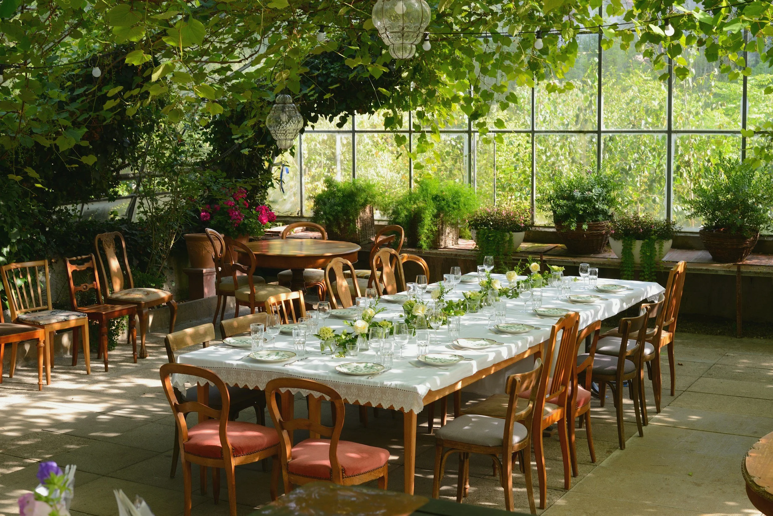 A greenhouse or conservatory decorated for a meal, with a long table covered in a white tablecloth, set with plates, glasses, and flowers. Surrounding the table are wooden chairs, and the space is lush with green plants and large windows letting in natural light.