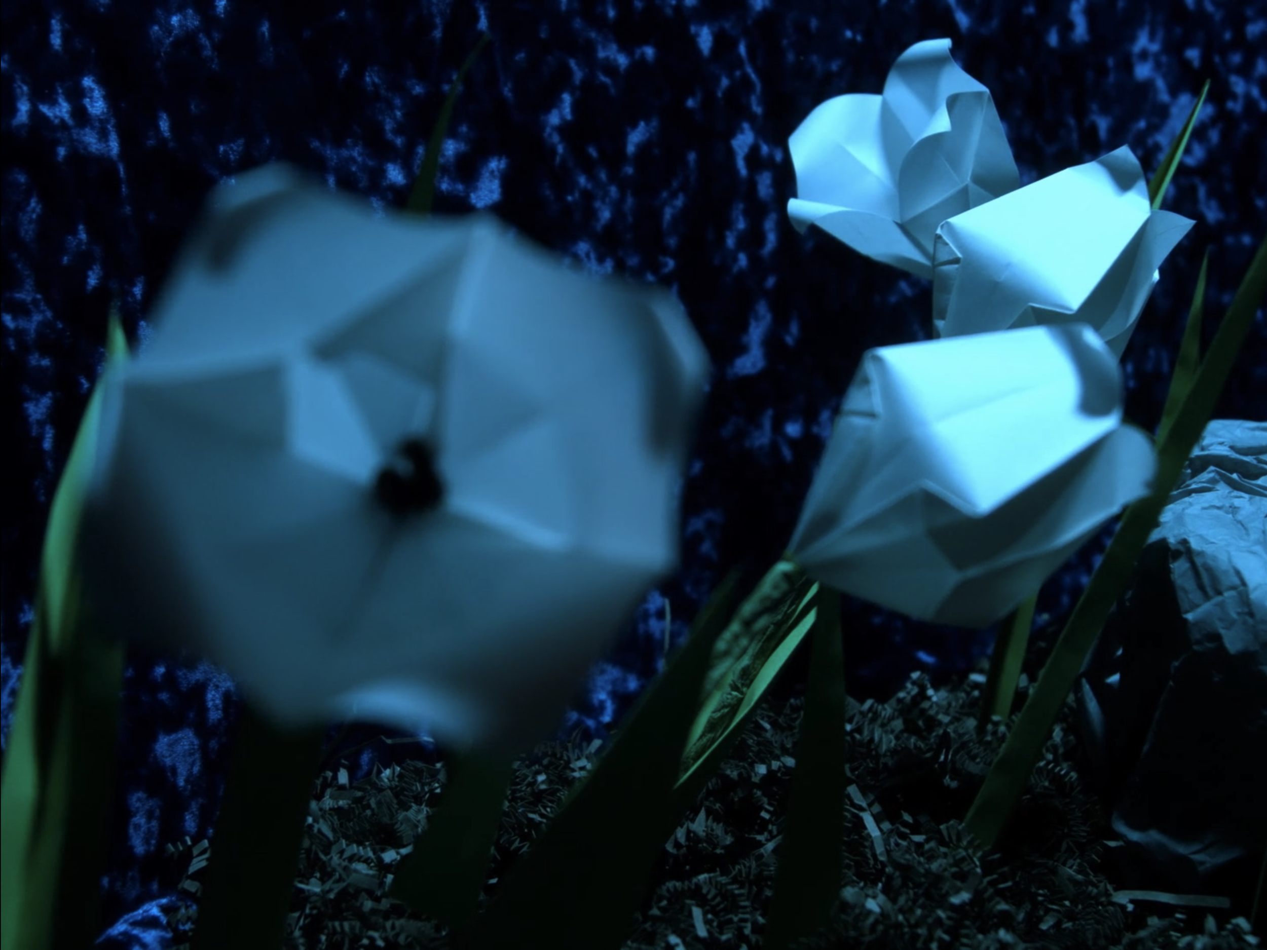 Paper Butterflies