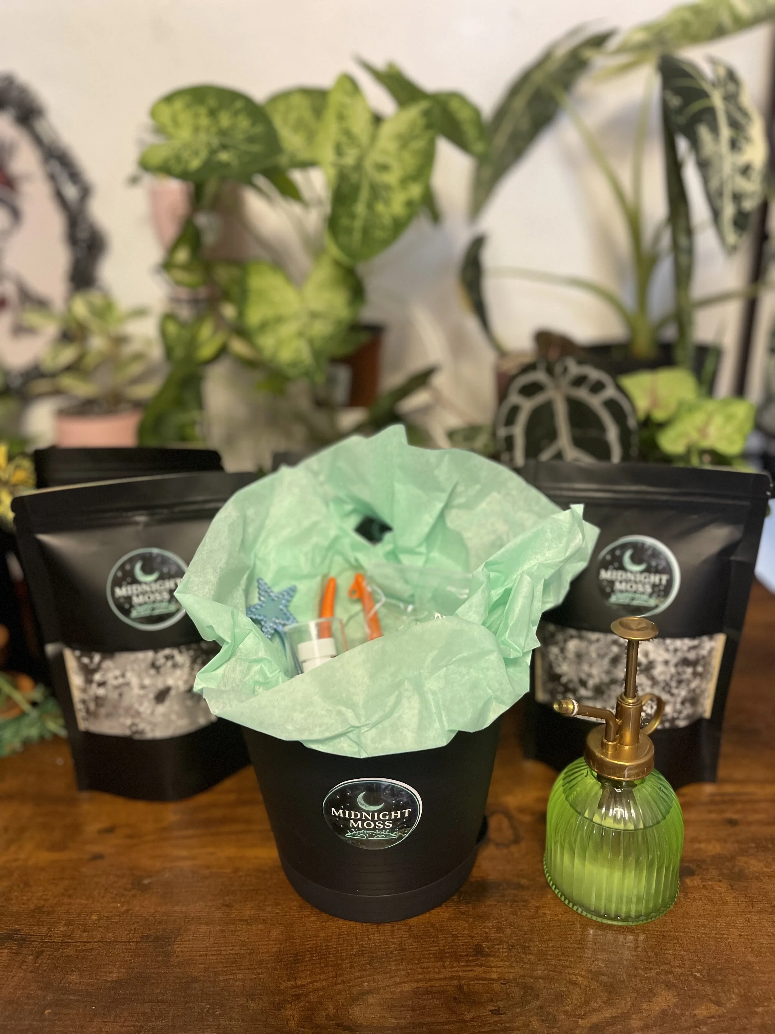 PlantER Kit