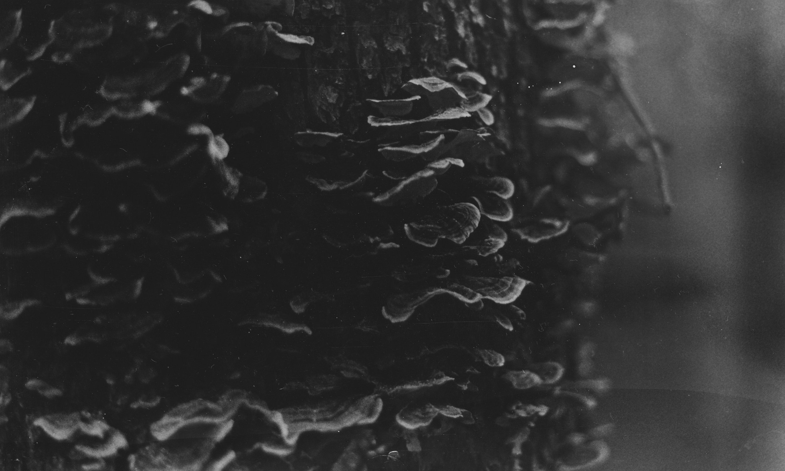 07A5DC9E-1262-40BD-8E72-C3E7A2221BCF_1_201_a.jpeg