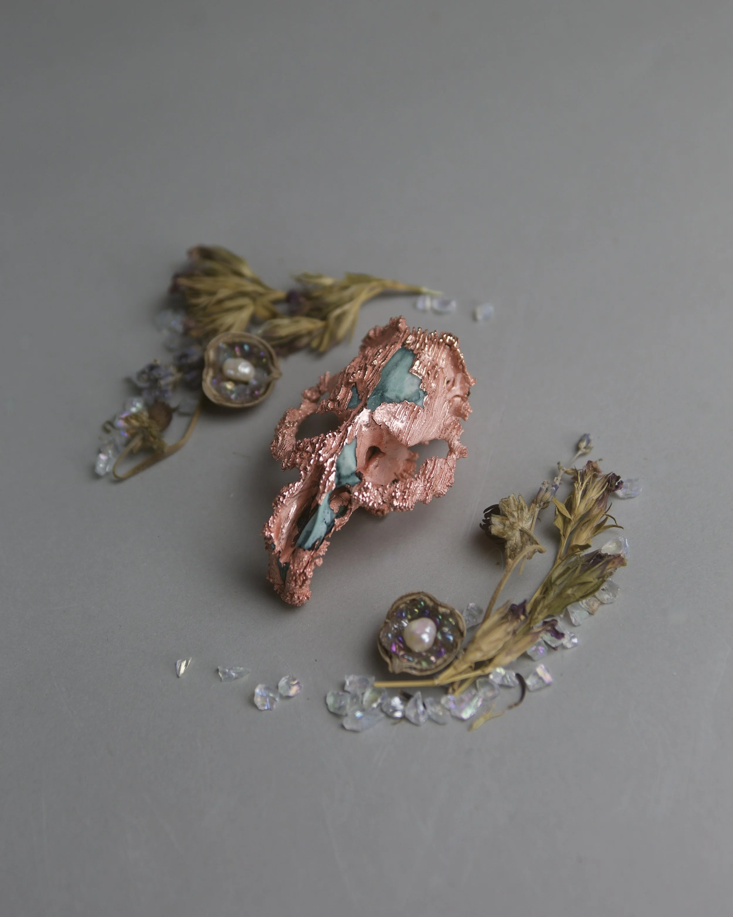 A Small Memorial (2024) 
Copper plated eastern fox squirrel skull, acorn, dried flowers, glass
2.5 x 1.8 x 1.8"
