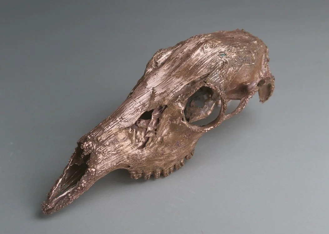 Veneration of the Dead (2024)
Copper plated Deer skulls, resin, dried
flowers, foliage, glass
4 x 20.5 x 10"