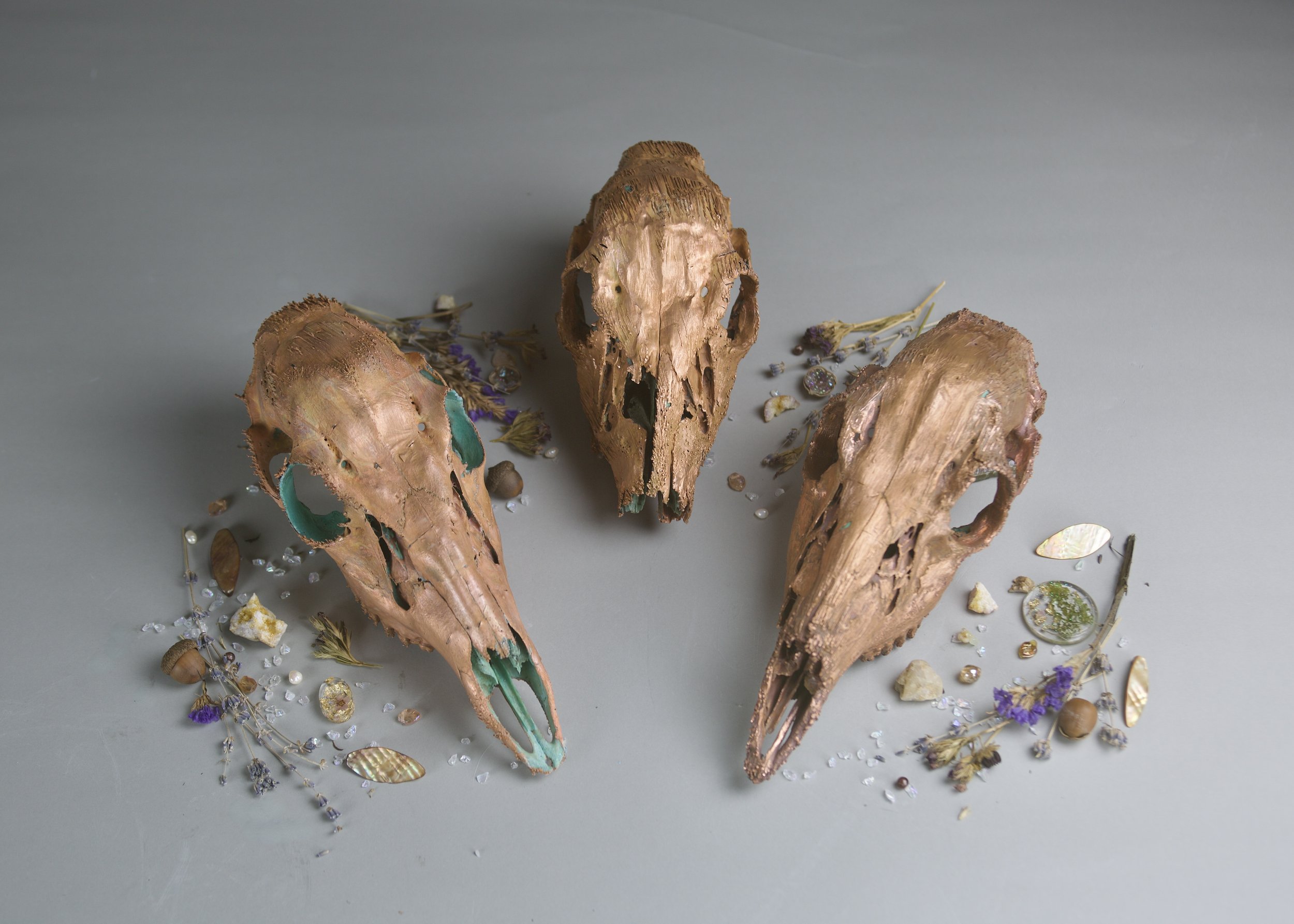 Veneration of the Dead (2024)
Copper plated Deer skulls, resin, dried
flowers, foliage, glass
4 x 20.5 x 10"