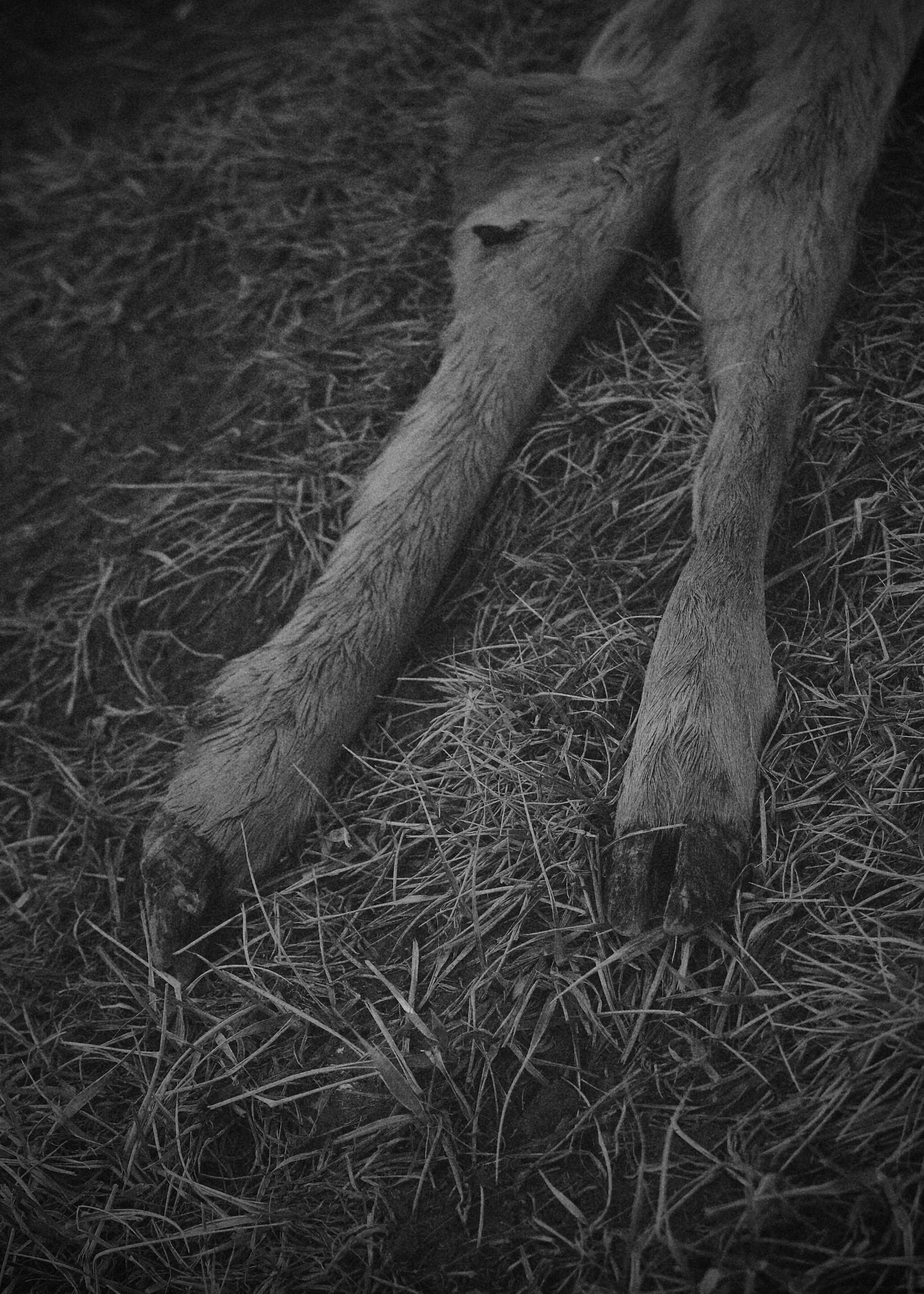 362643A5-1D39-4073-B7C9-3DAF015B8938_1_201_a.jpeg