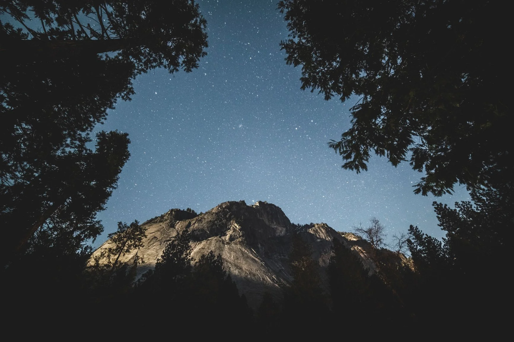 A starry sky framed by trees on either side of the image and crop of rough rocks at the bottom.