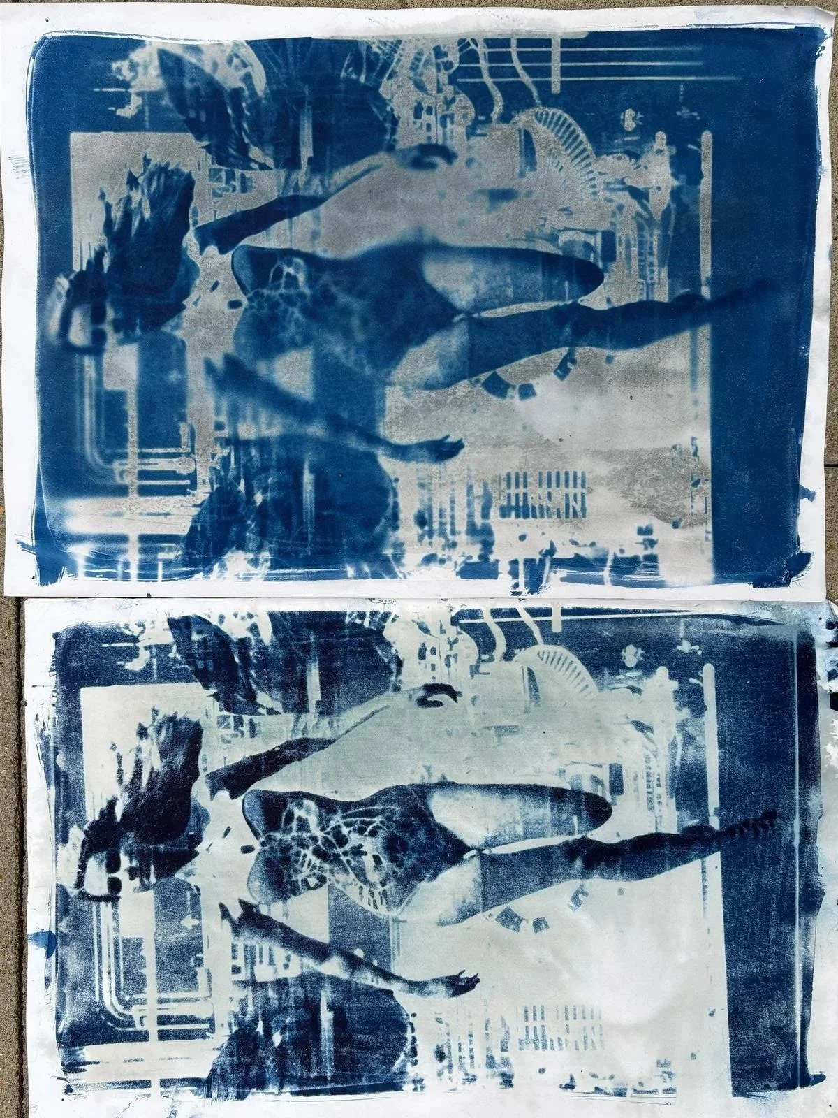 Cyanotype Print 1