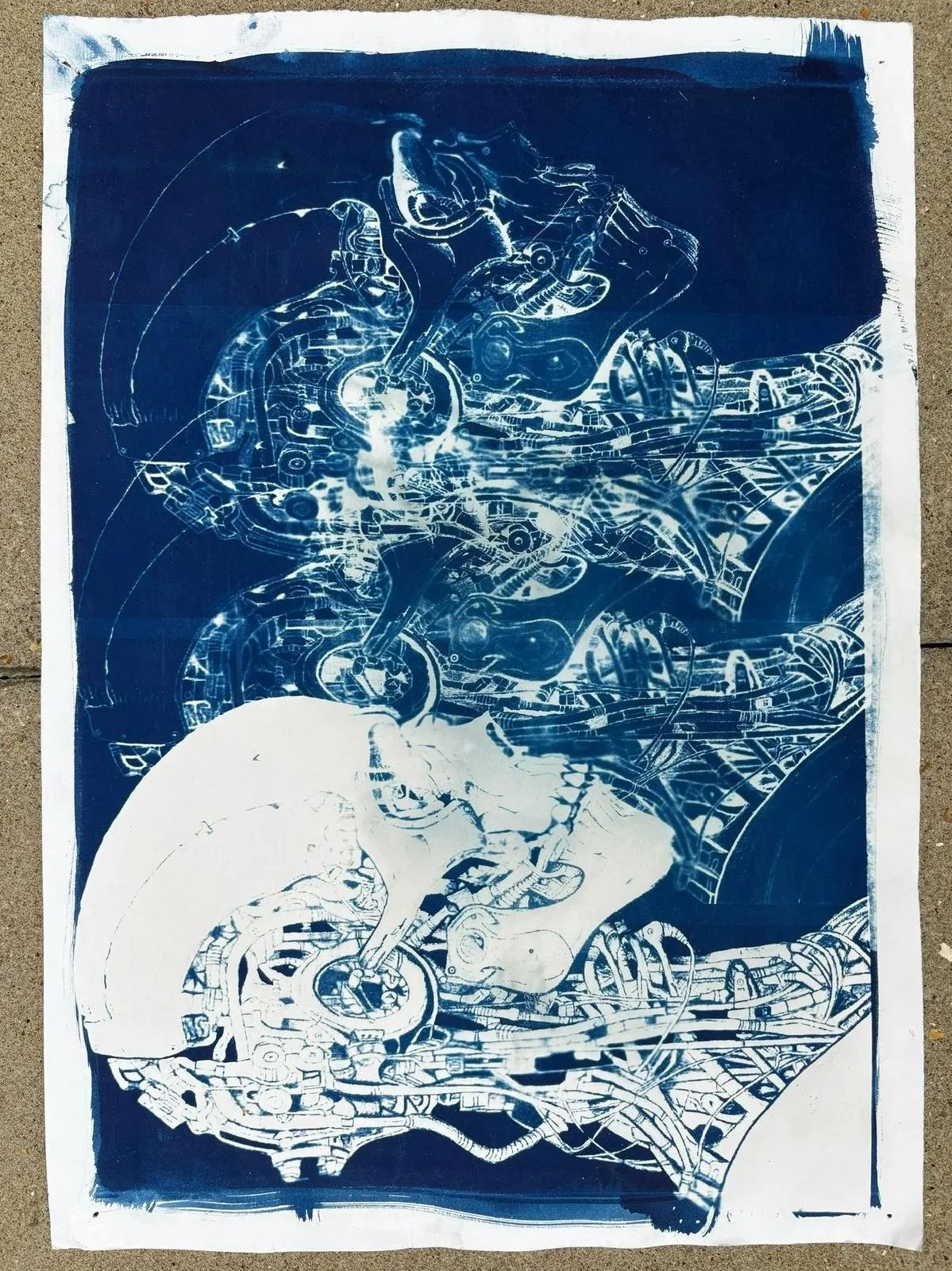 Cyanotype Print 4