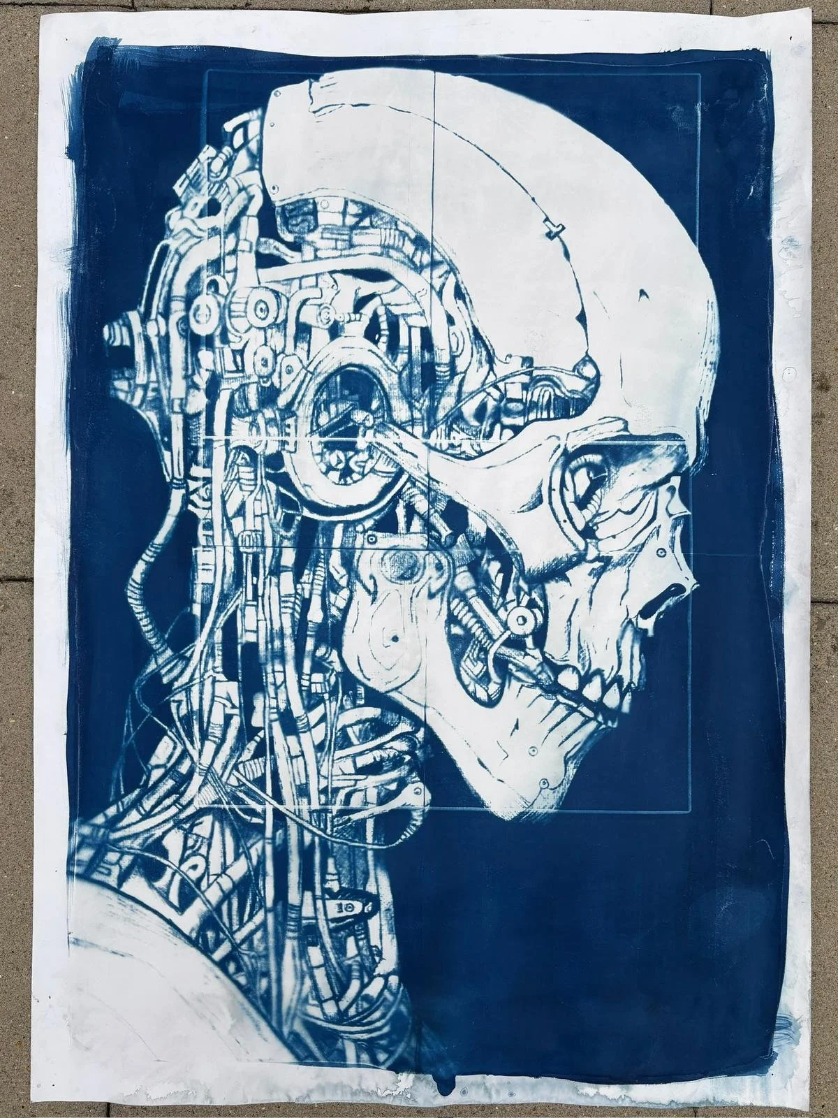 Cyanotype Print 3