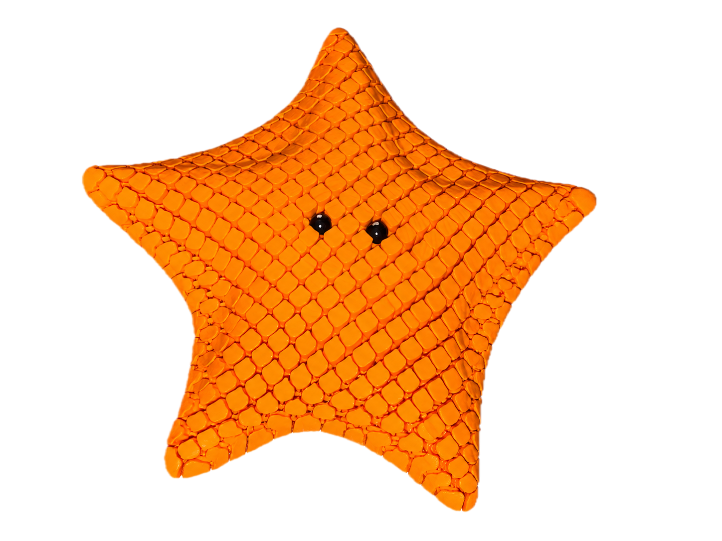 orange+starfish.png