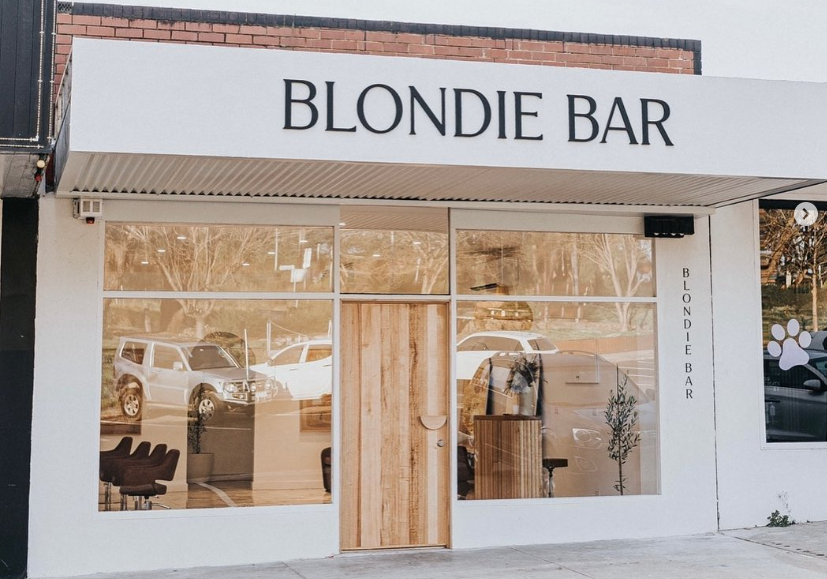 Custom Home Builder in Blondie (3).png
