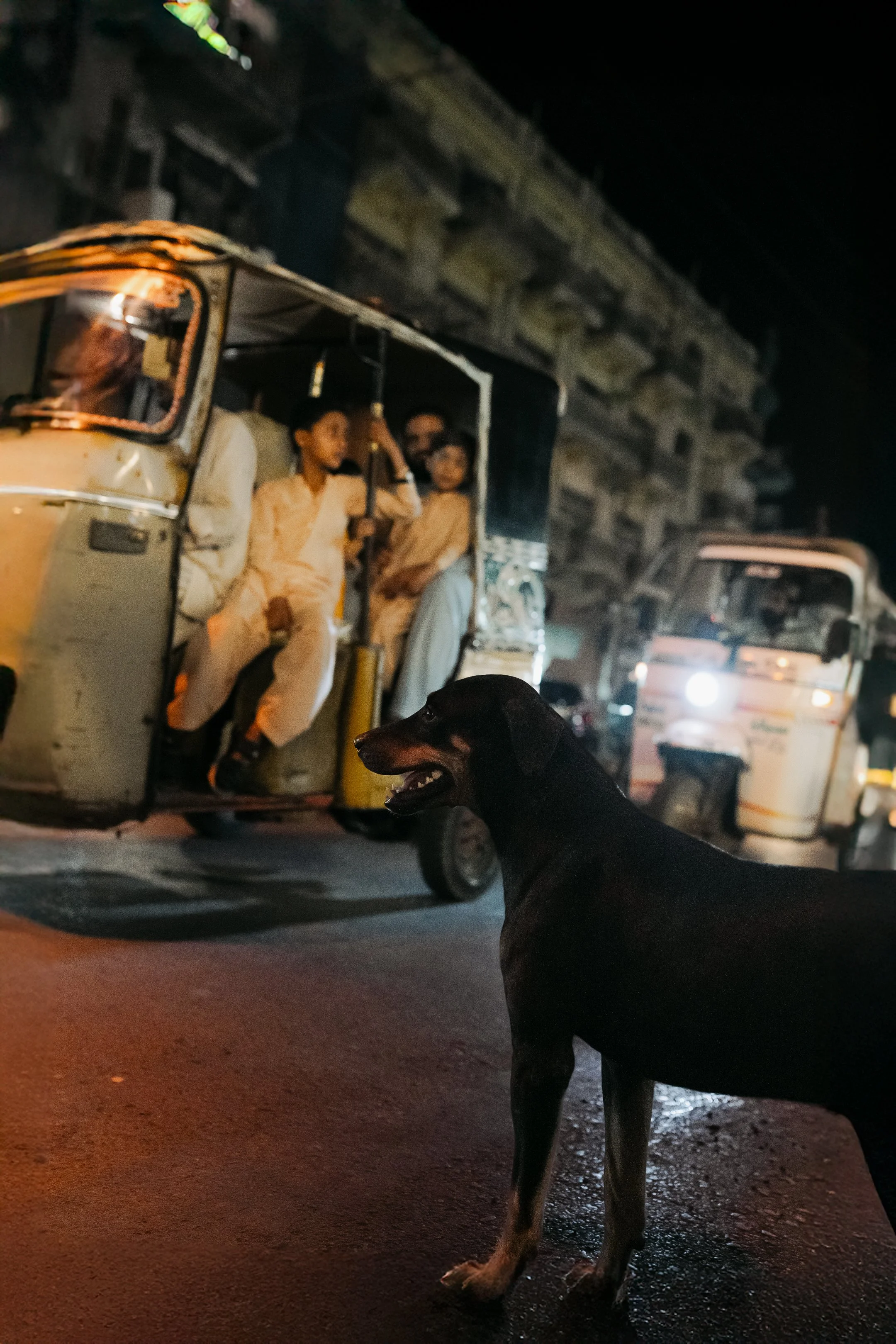 A black and tan dog standing on a street at night, with several auto rickshaws and a building in the background.
