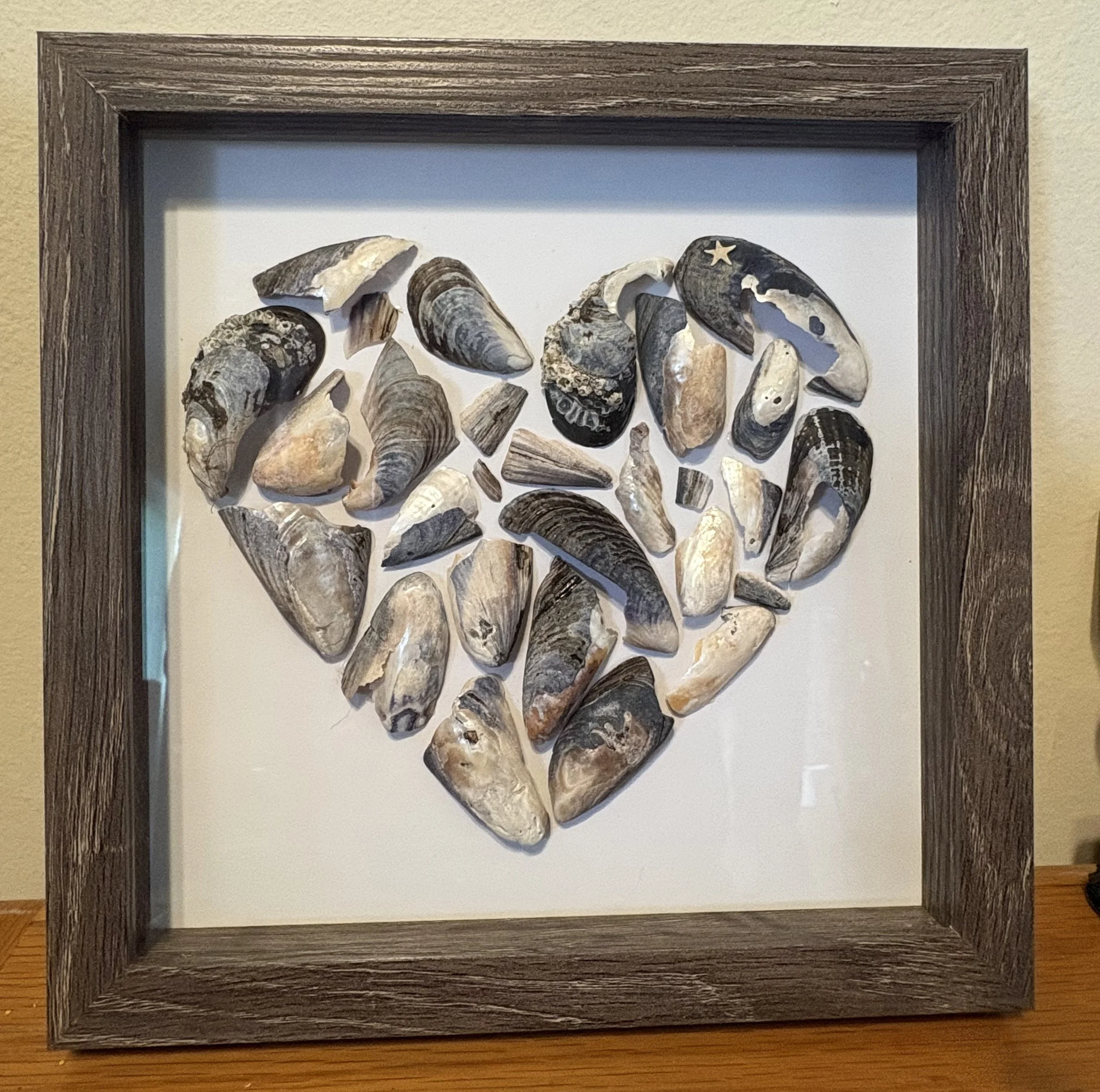 Blue Mussel Heart