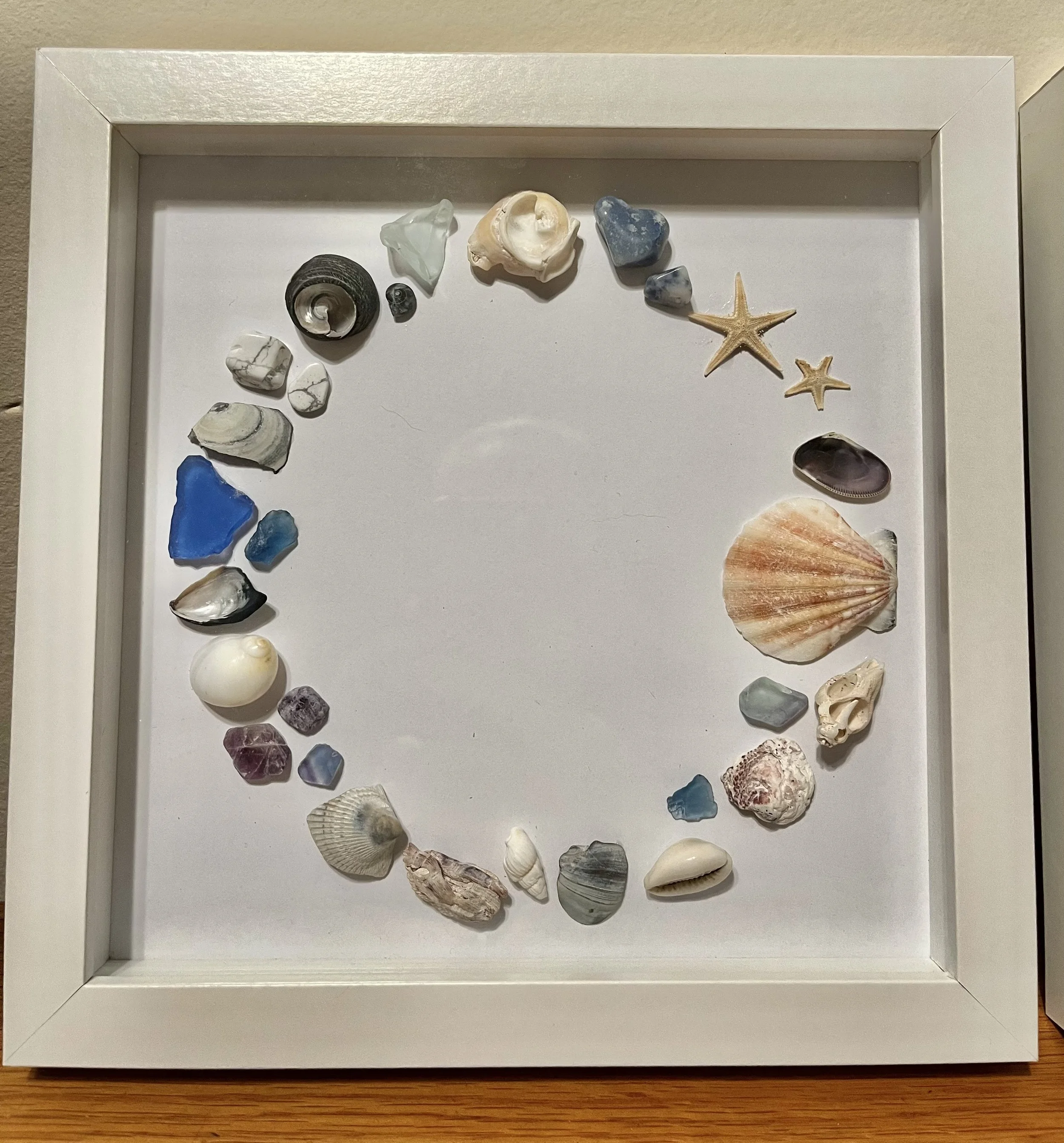 Sea Shell Circle (Blue Glass)