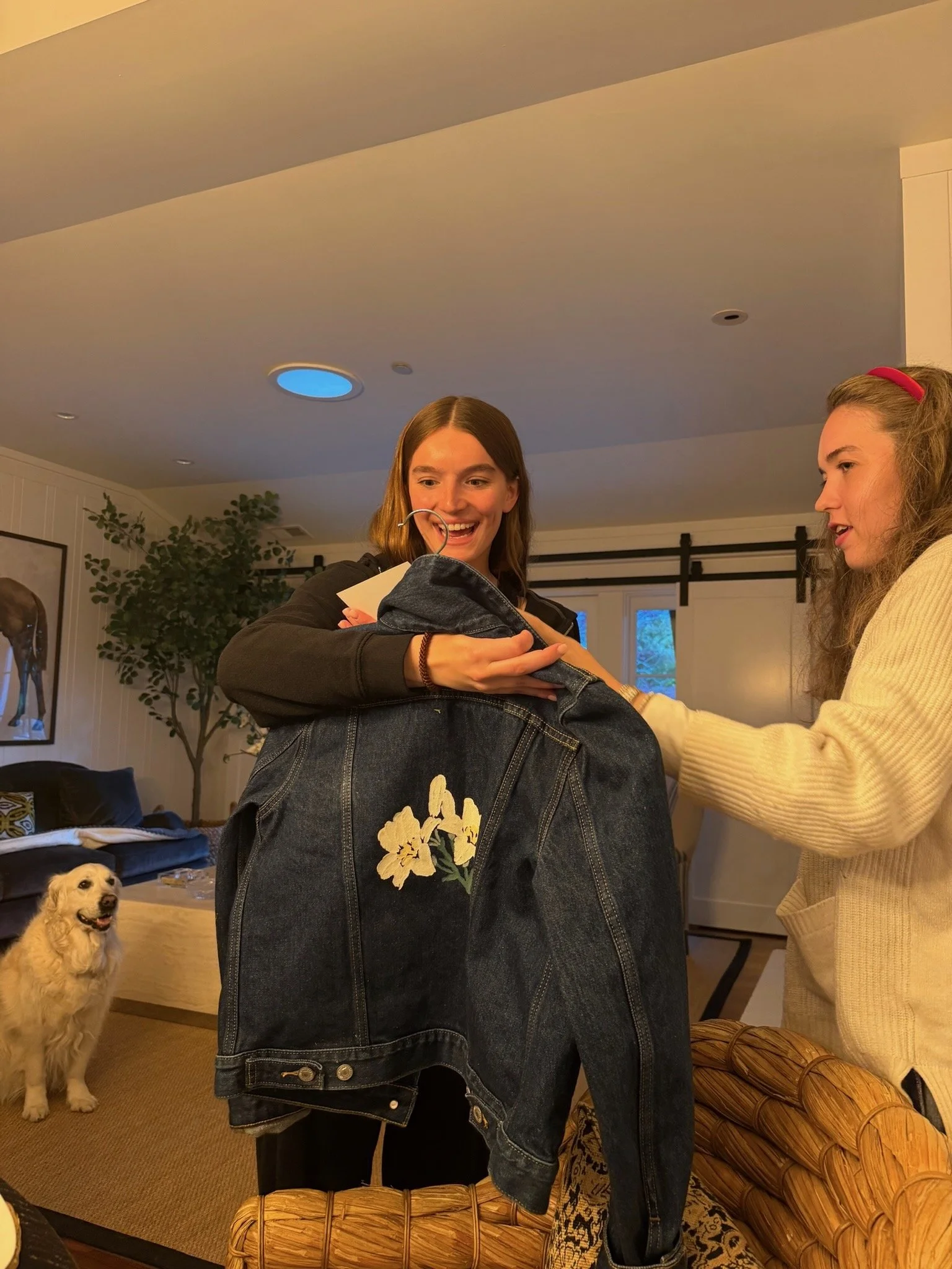 Two young women are in a living room, one is smiling and holding a black hoodie, the other is reaching toward her. A yellow dog stands nearby. The room features dark furniture, a potted plant, and a barn-style door.