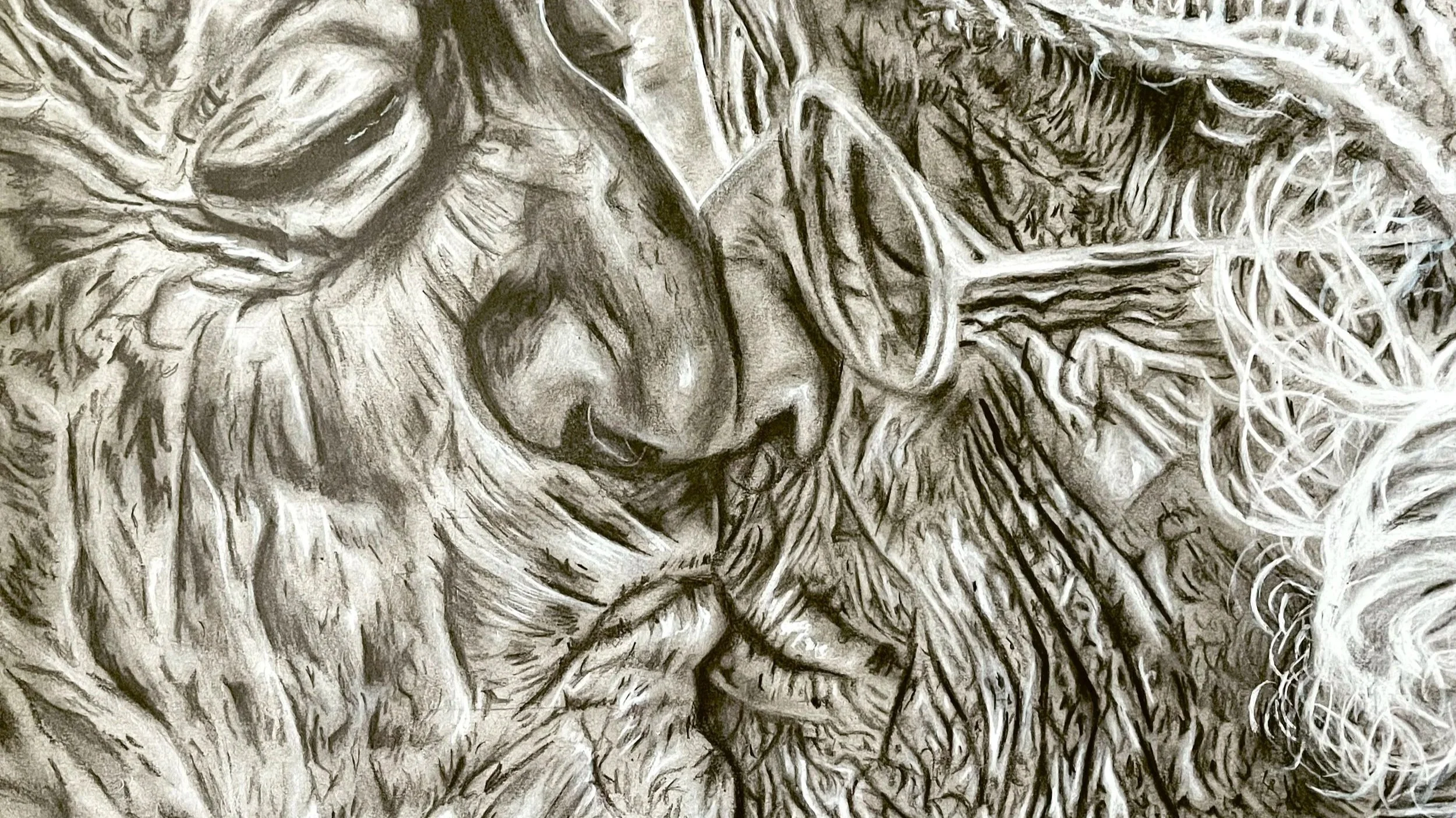 A detailed black and white drawing of a sleeping cat curled up with its head nestled into its body, surrounded by fur and textured fur details.