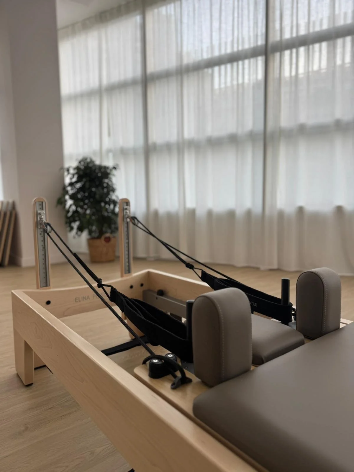 Equipo de Pilates con cama de madera y cinturones de resistencia en ambiente con cortinas blancas y planta en el fondo.