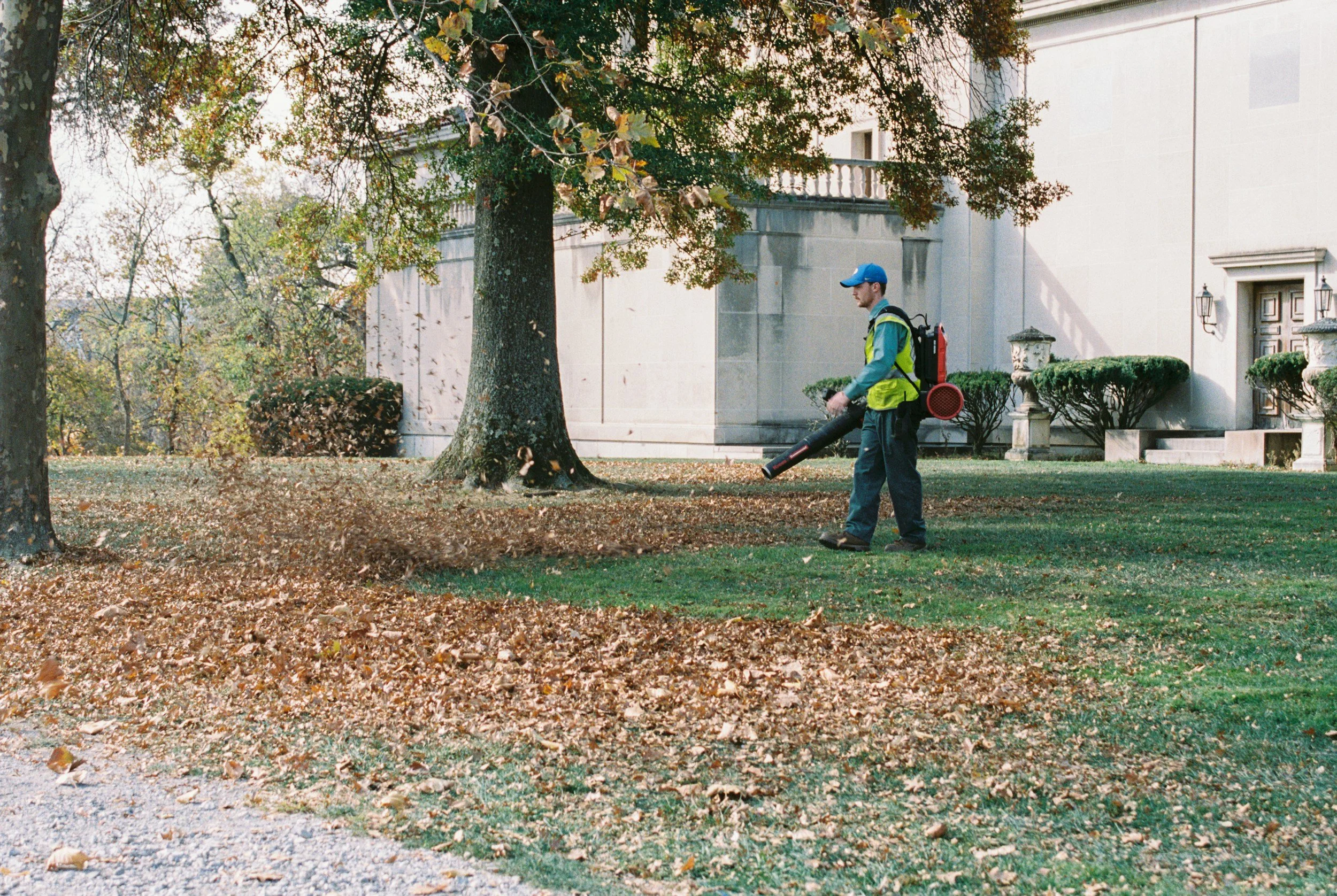 A worker wearing a blue hat, yellow safety vest, and backpack blower is cleaning fallen autumn leaves from a grassy area with trees and a large white building in the background.