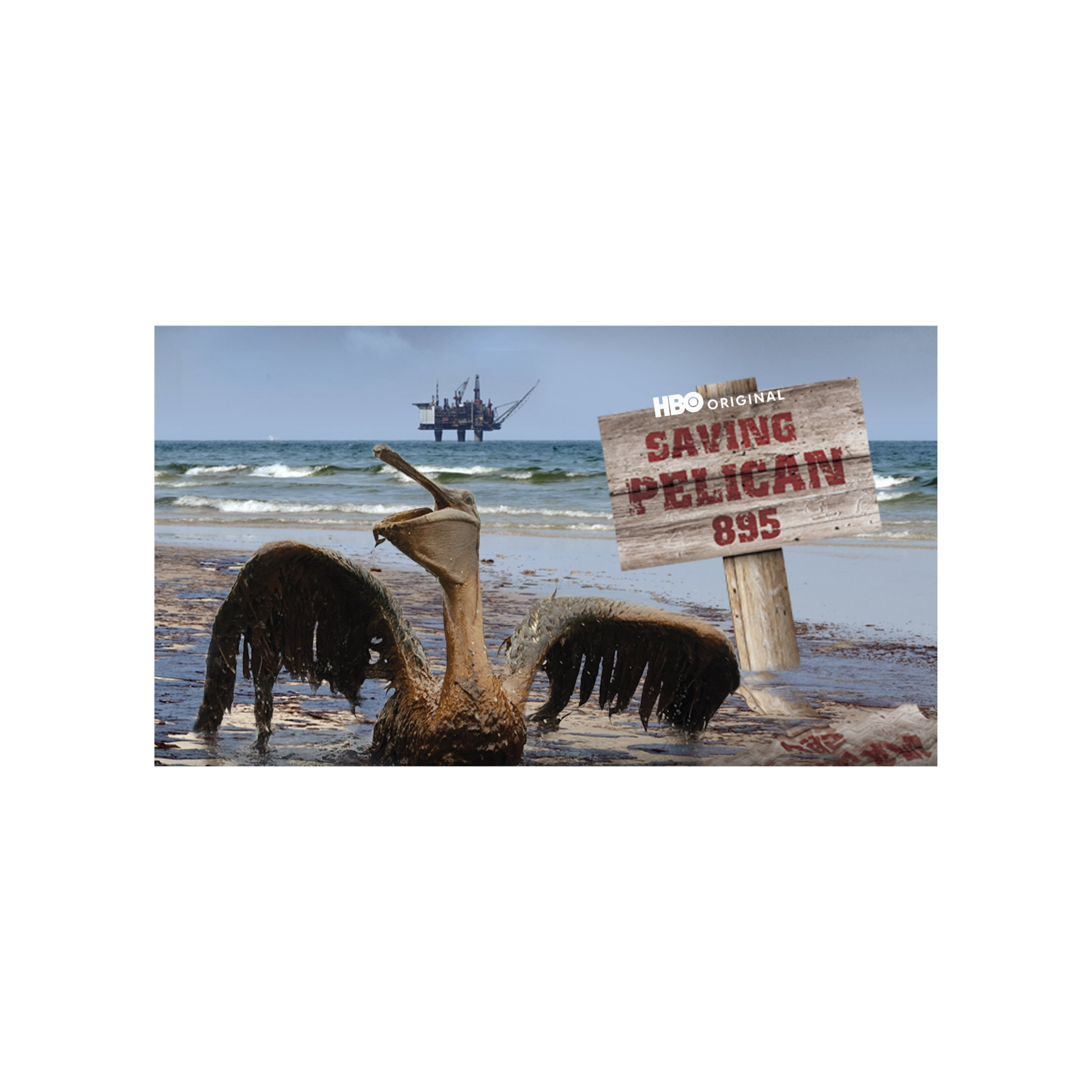saving-pelican-895.png