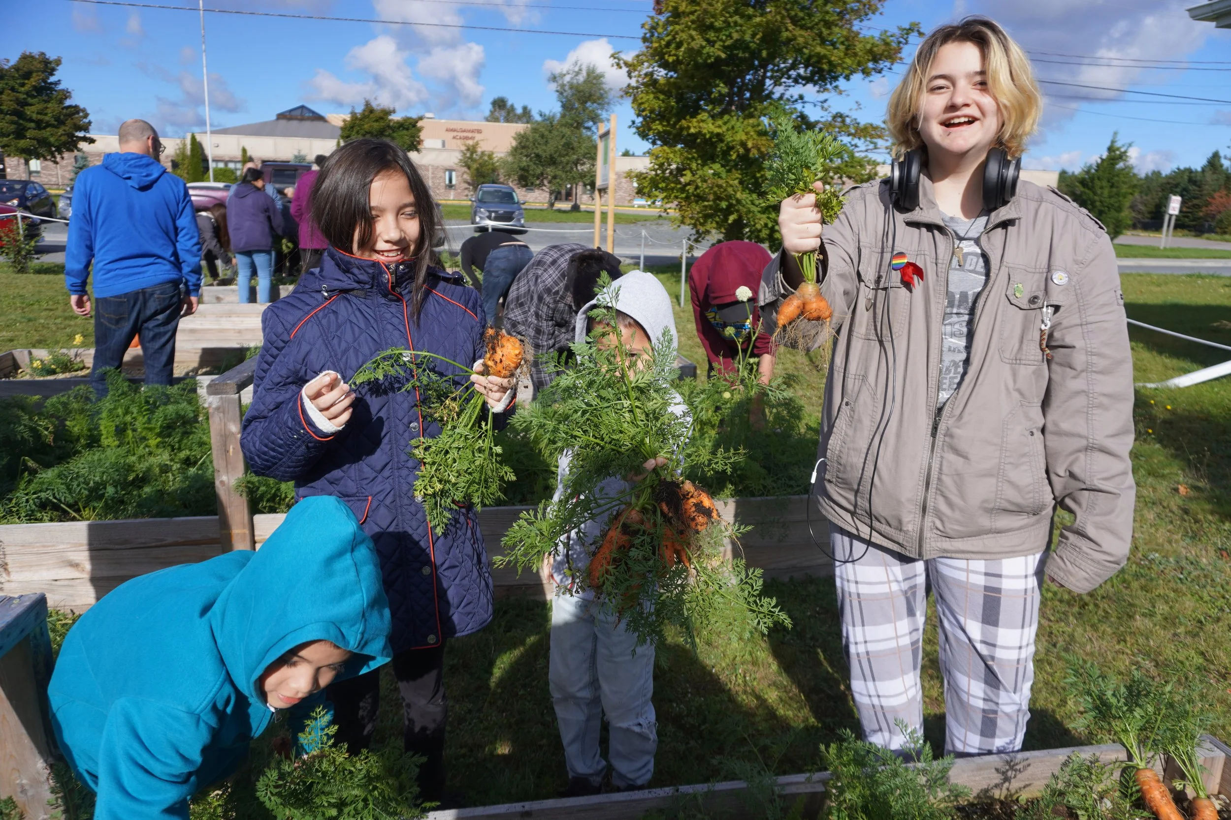 Children harvesting carrots in a community garden on a sunny day with blue sky and green trees in the background.