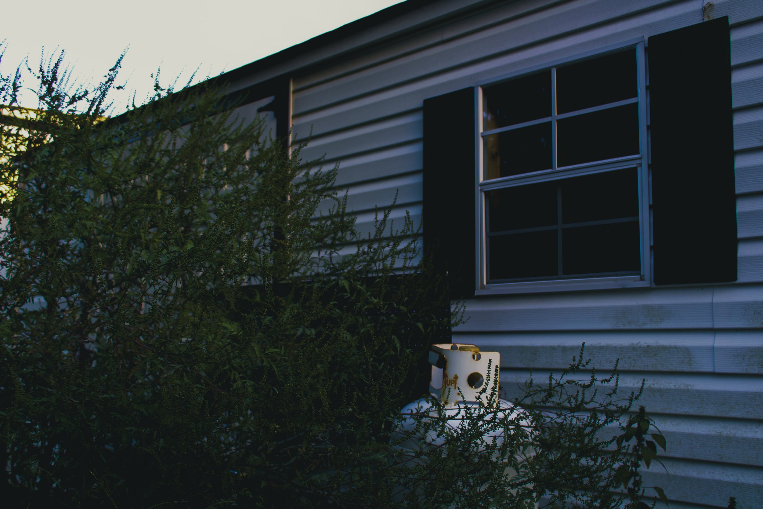 Exterior of a house with white siding, a window partially covered by shutter, and a bush in front.