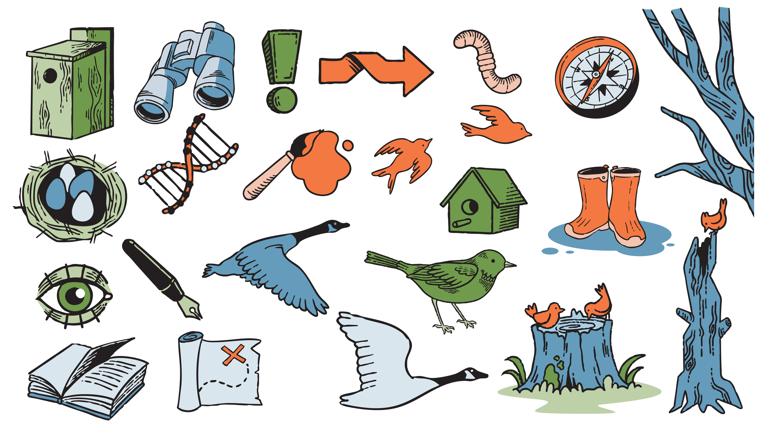 fbbo illustration spread.png