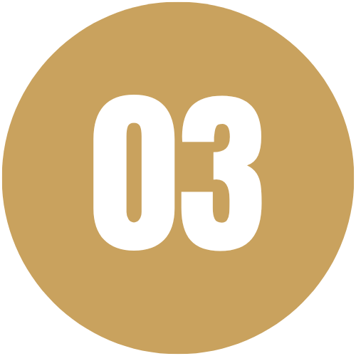 Number 03 on a gold circular background.