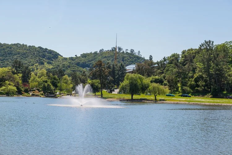 A lake with a fountain in the middle, surrounded by green trees and hills, with a few cars on a nearby road.