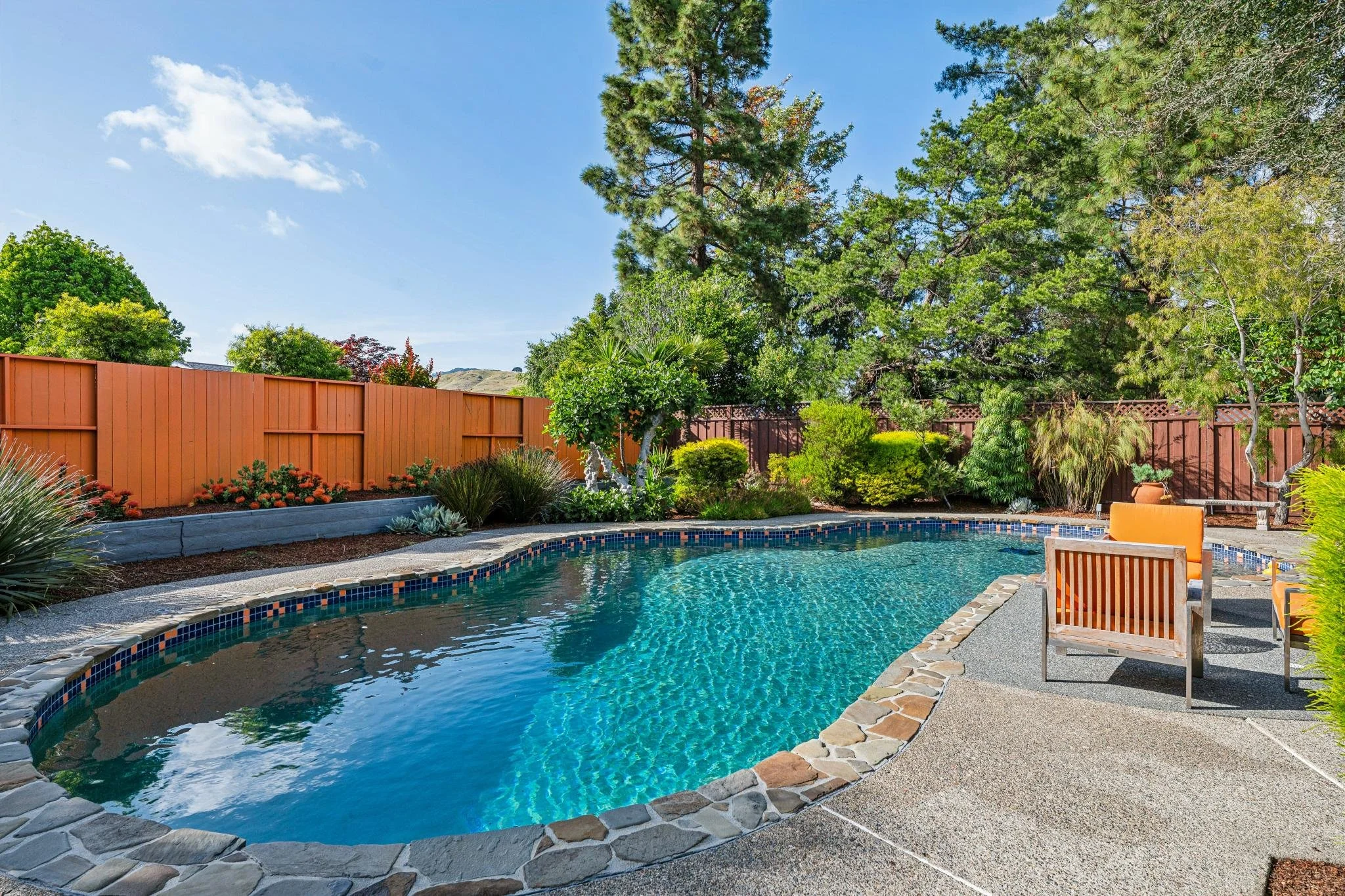 A backyard with a kidney-shaped swimming pool, surrounded by stone edging and a concrete patio, enclosed by a tall wooden fence. There are various trees and plants, including a tall pine, bushes, and flowers, under a bright blue sky with some clouds.
