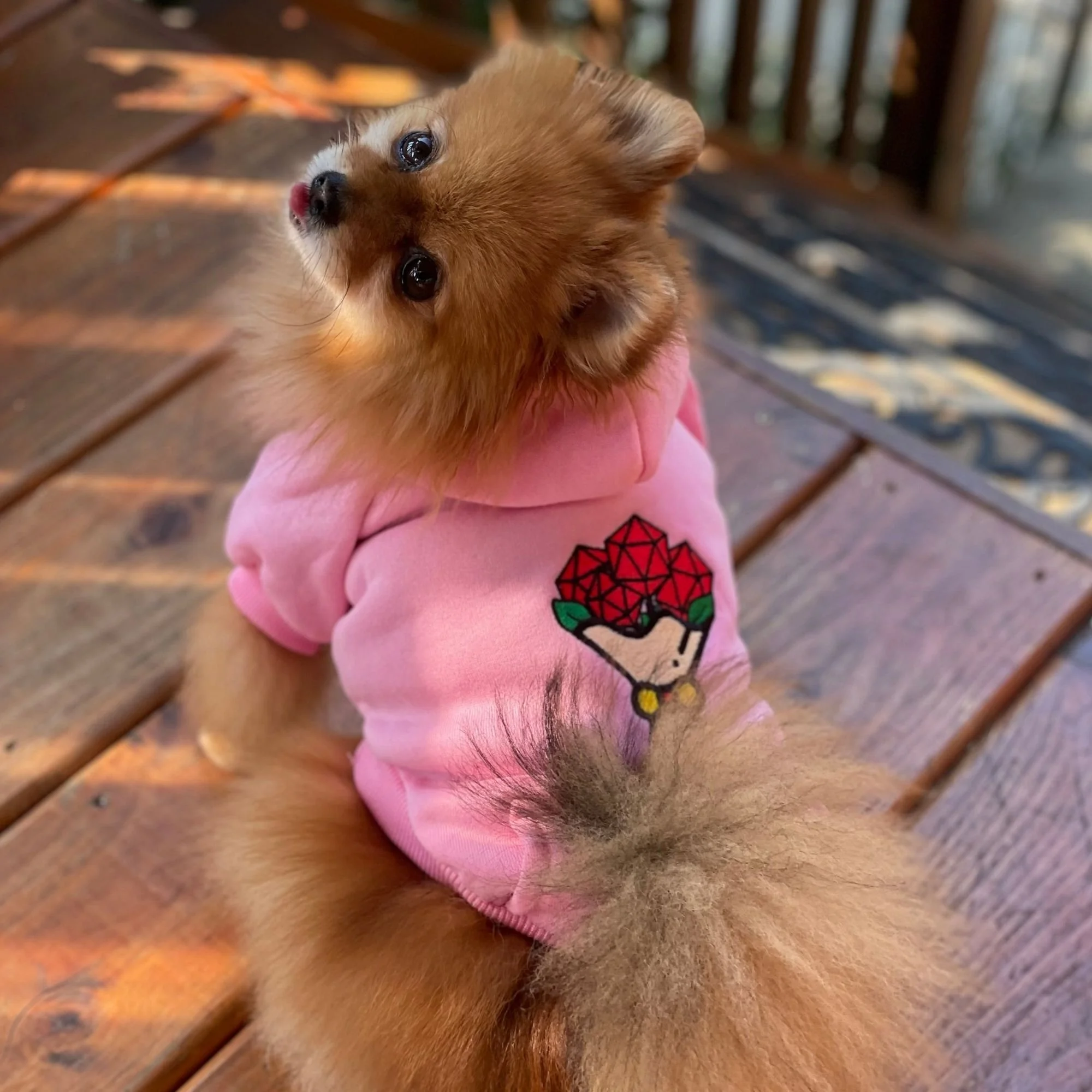 Close-up of a small, fluffy dog with brown fur lying on a wooden surface and looking at the camera, wearing a pink sweater with an embroidered graphic design.