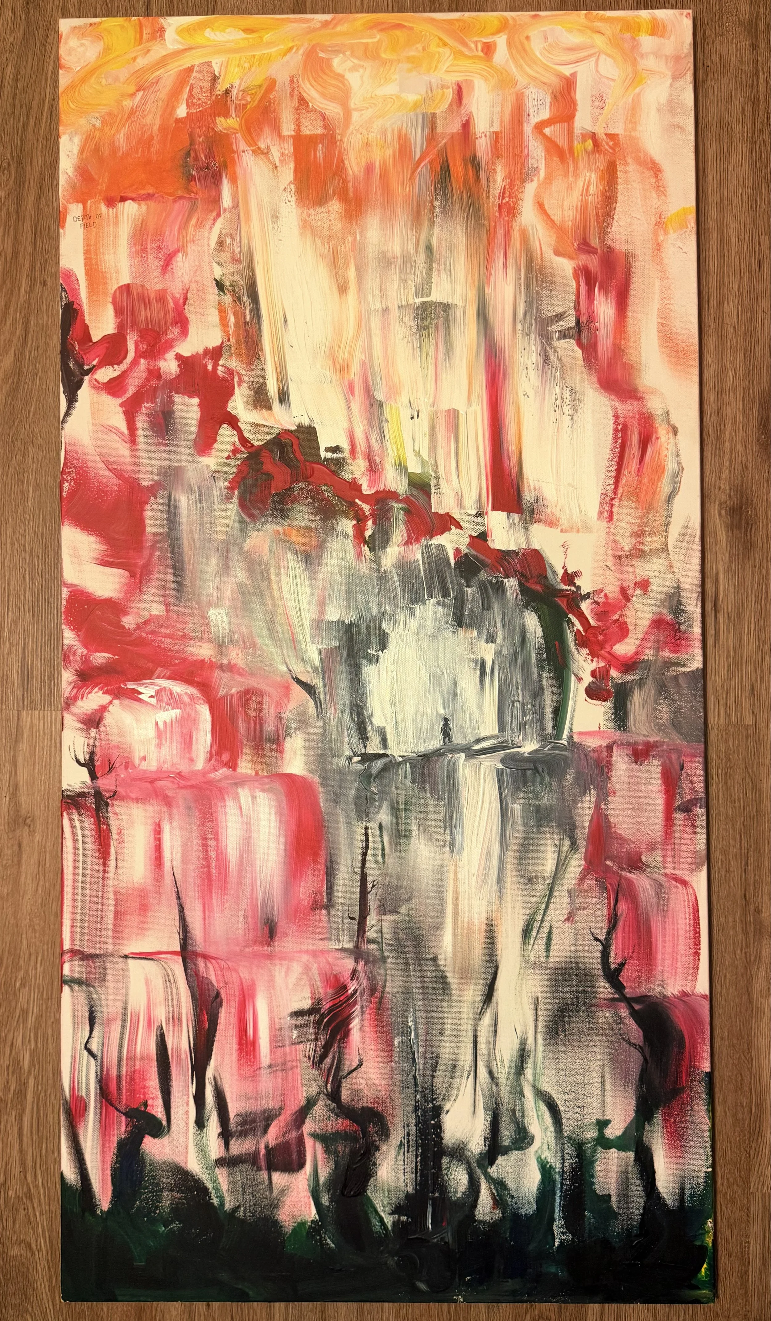 "Depth of Field"   24"x48"   $900