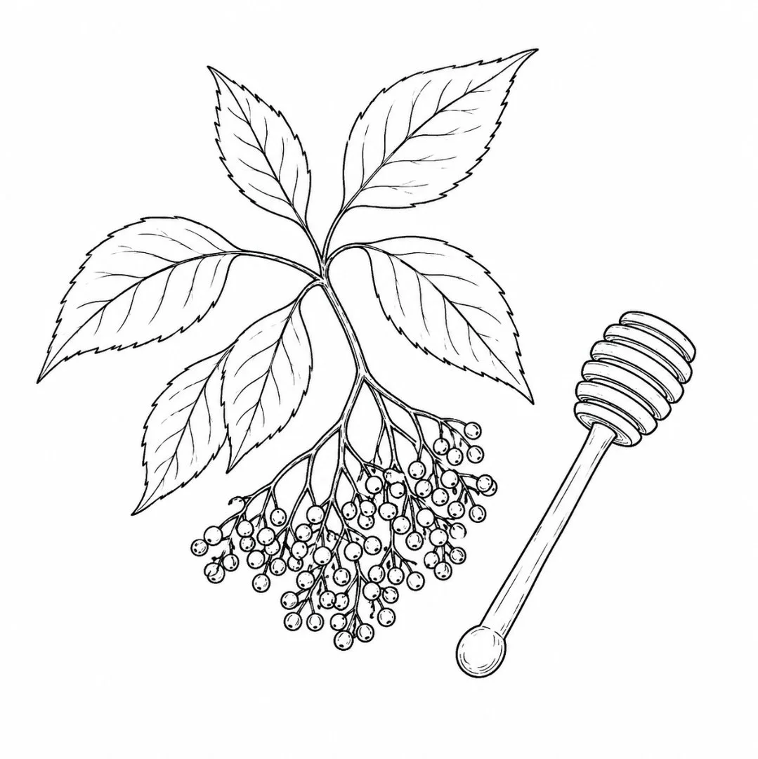 October 5th: Seasonal Wellness
