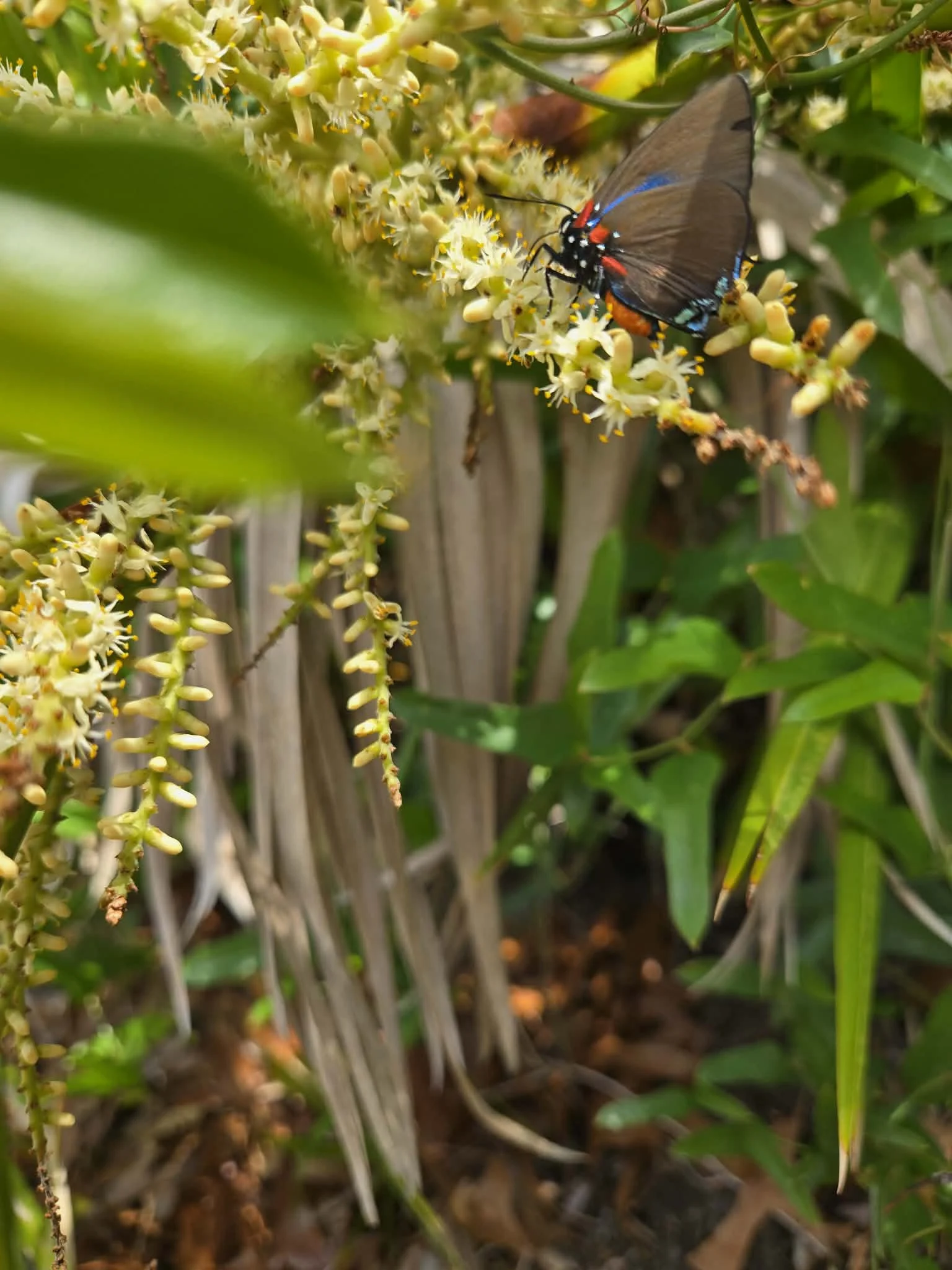 Rooted 4 Week Experience