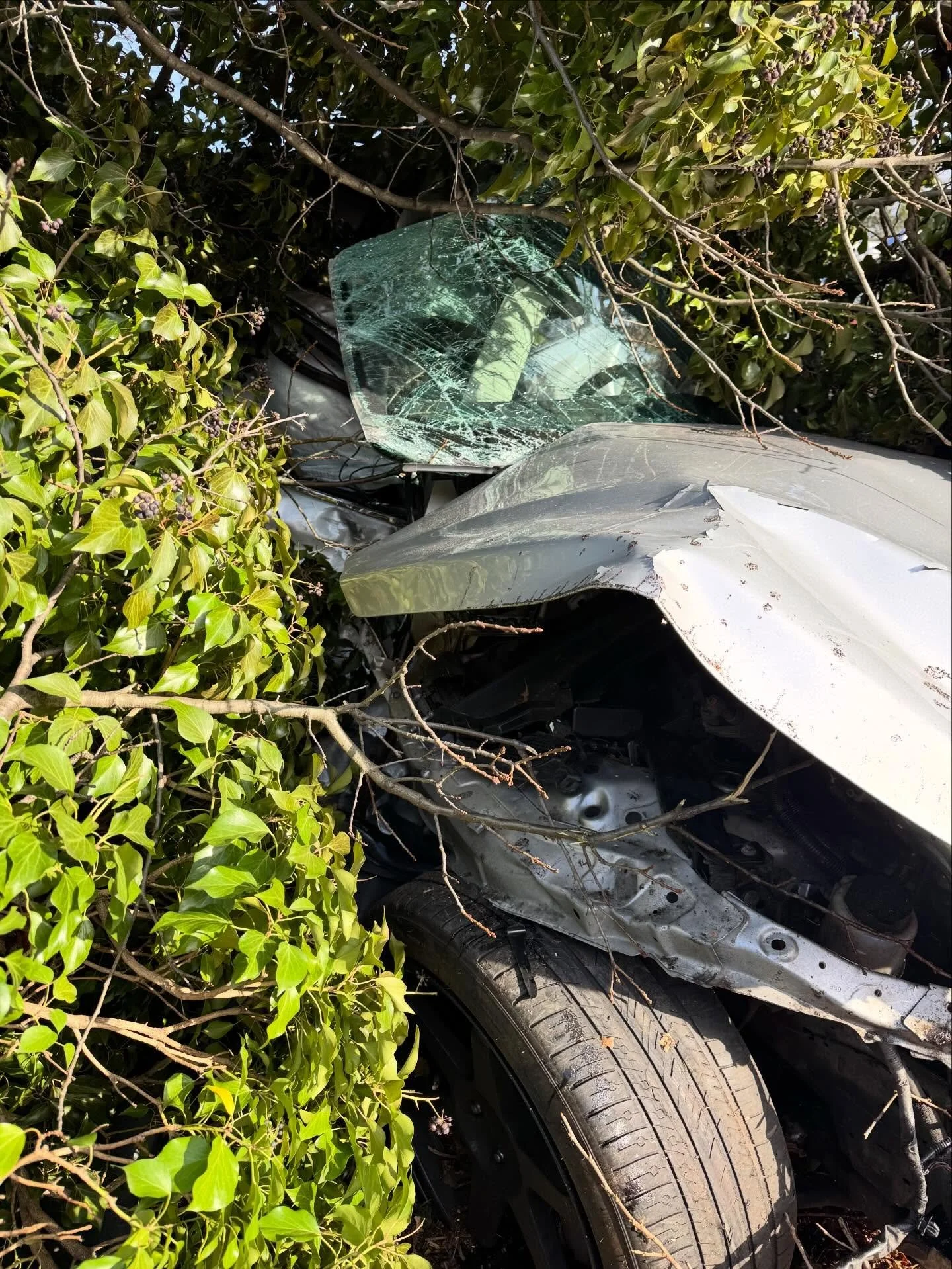 At approximately 2:31 p.m., the Roslyn Fire Companies were dispatched for a motor vehicle accident with an overturn and entrapment on the Northern State Parkway. Chief Brennan (5600) quickly arrived on scene and confirmed there was no entrapment. Hea