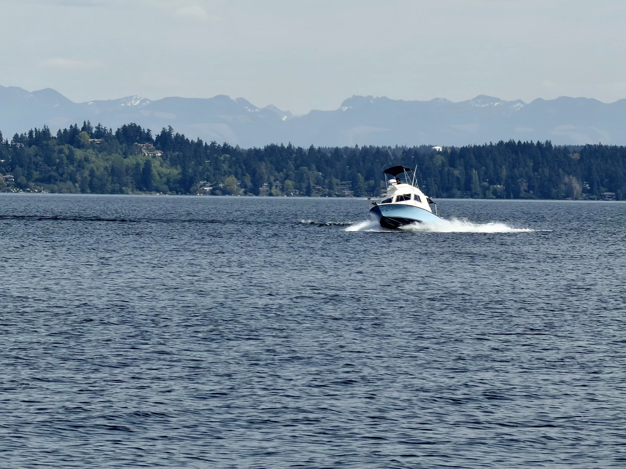 1970 Bertram Sportfisher '25 - FOR SALE