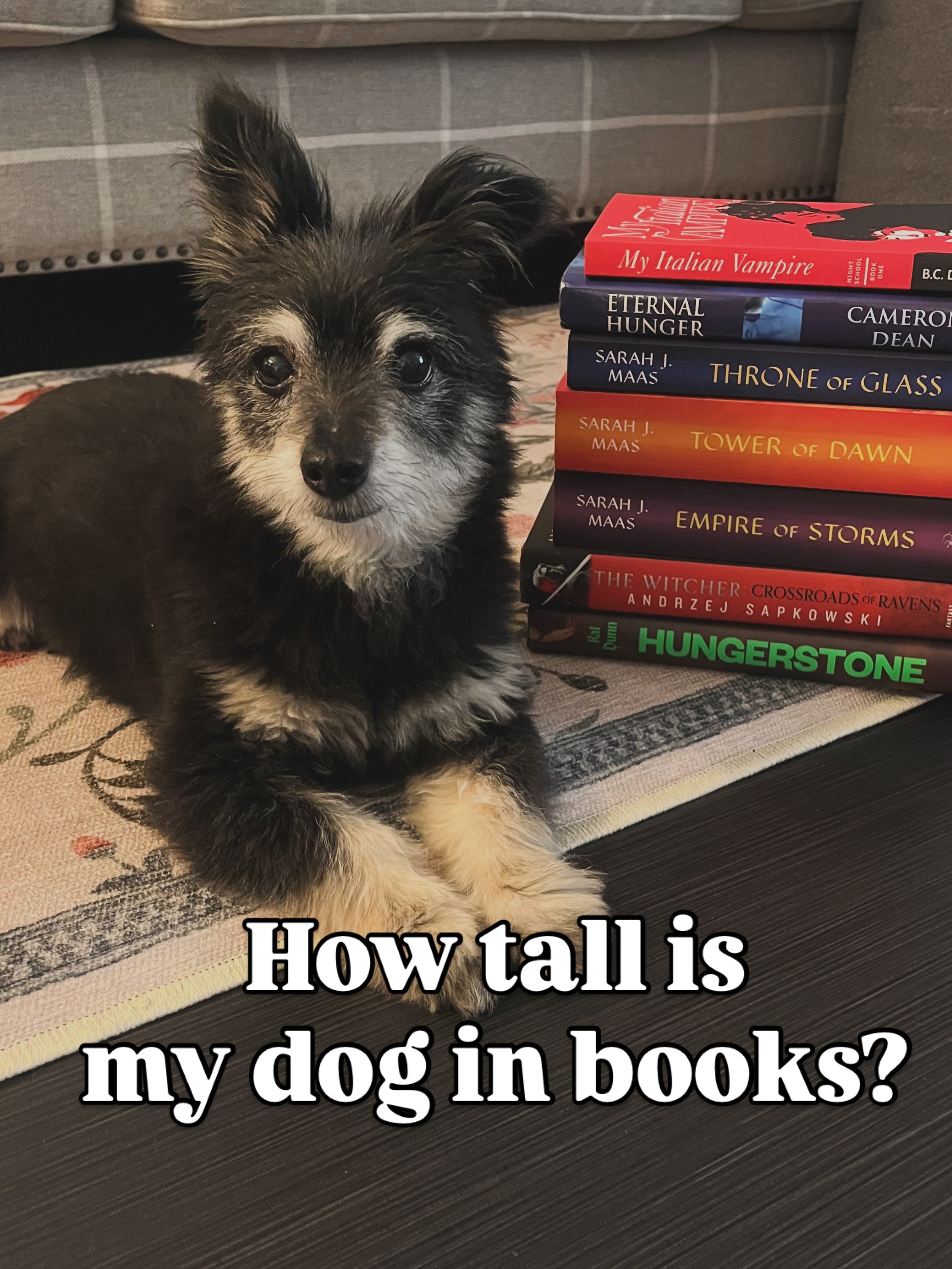 🐕 Tank was actually much taller in books than I thought he would be&hellip;and I had added some hefty pages to the pile (looking at you Empire of Storms/Tower of Dawn). 
*
S/O to @tricias.library for the inspiration, this was too cute!