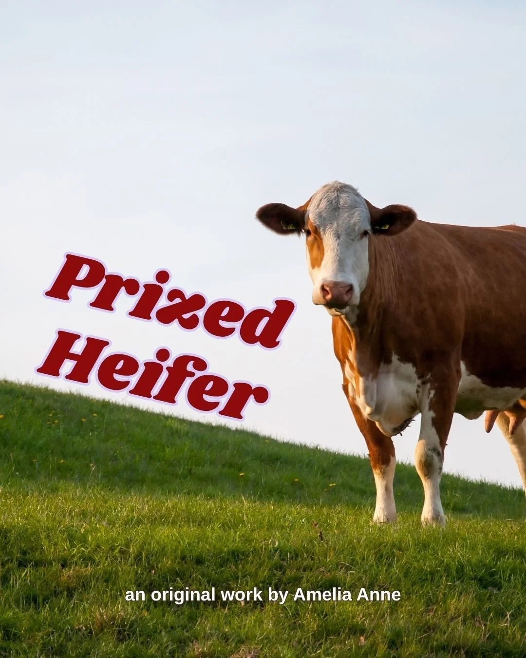 Prized Heifer | a flash fiction piece by Amelia Anne
*
Originally written for my flash fiction course, we were instructed to write about two people and they encounter a cow. To read the full piece visit my blog, 🔗 in b!o. 
*
#CreativeWriting #Aspiri