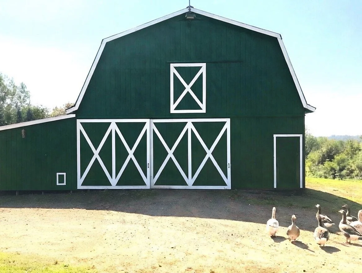 Green barn with white accents, mobile doors, and no windows, with a sloped roof, on a farm with geese nearby.