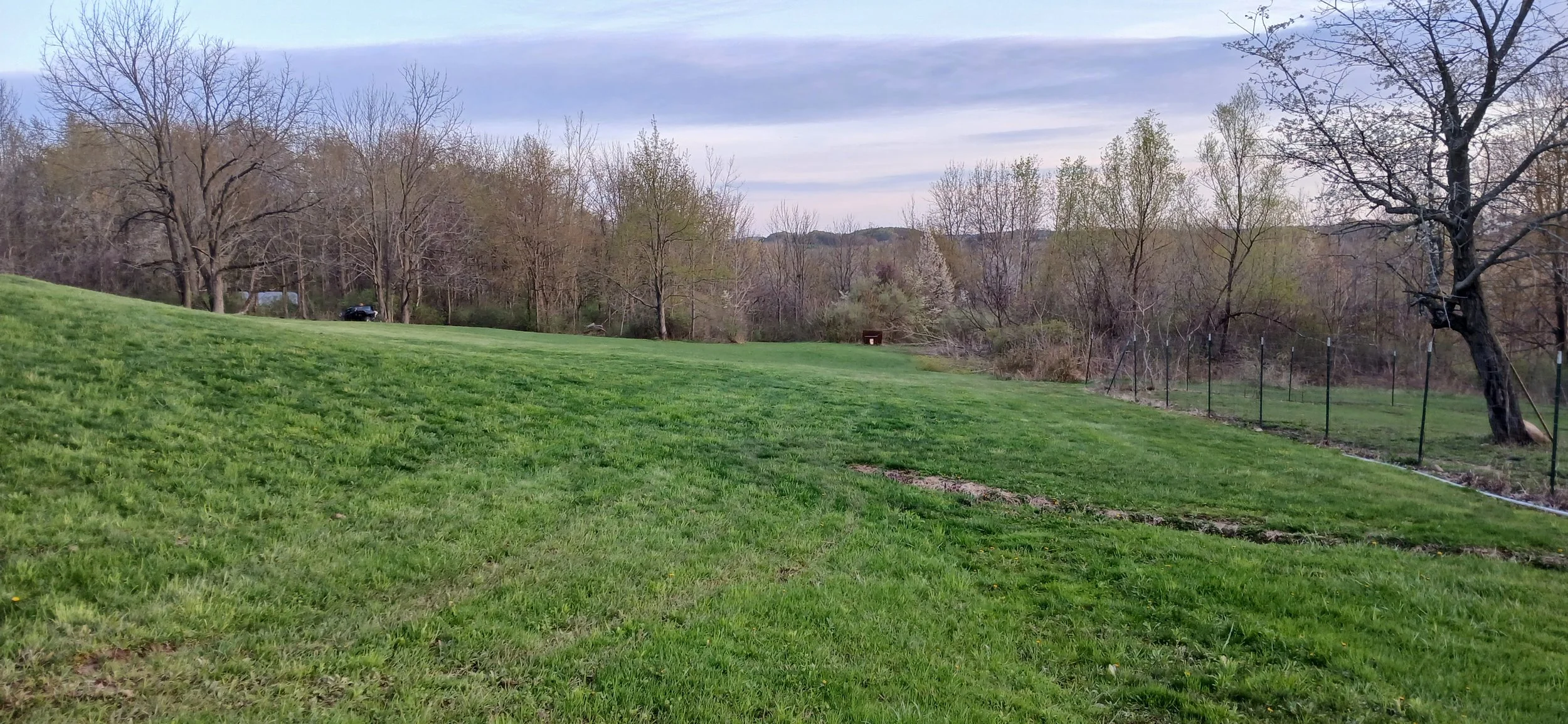 A lush grassy yard with a gentle slope, bordered by leafless trees and shrubs, under a partly cloudy sky in the distance.