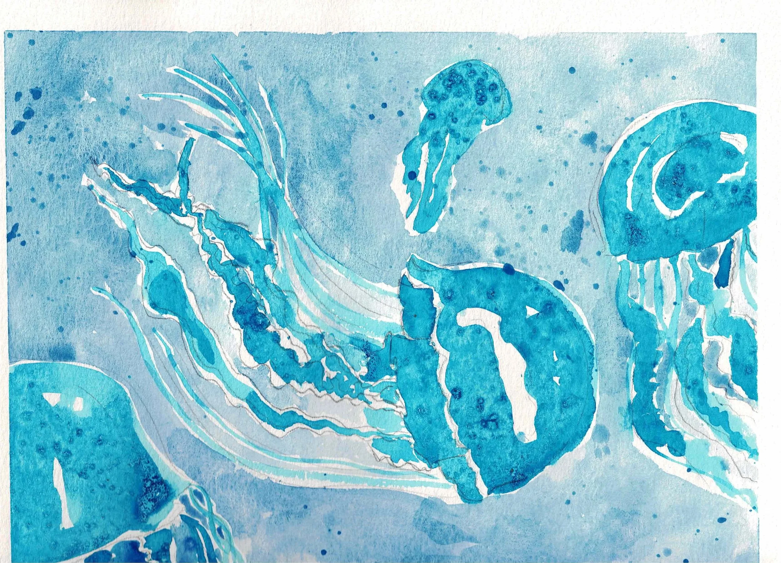 jellies.jpg