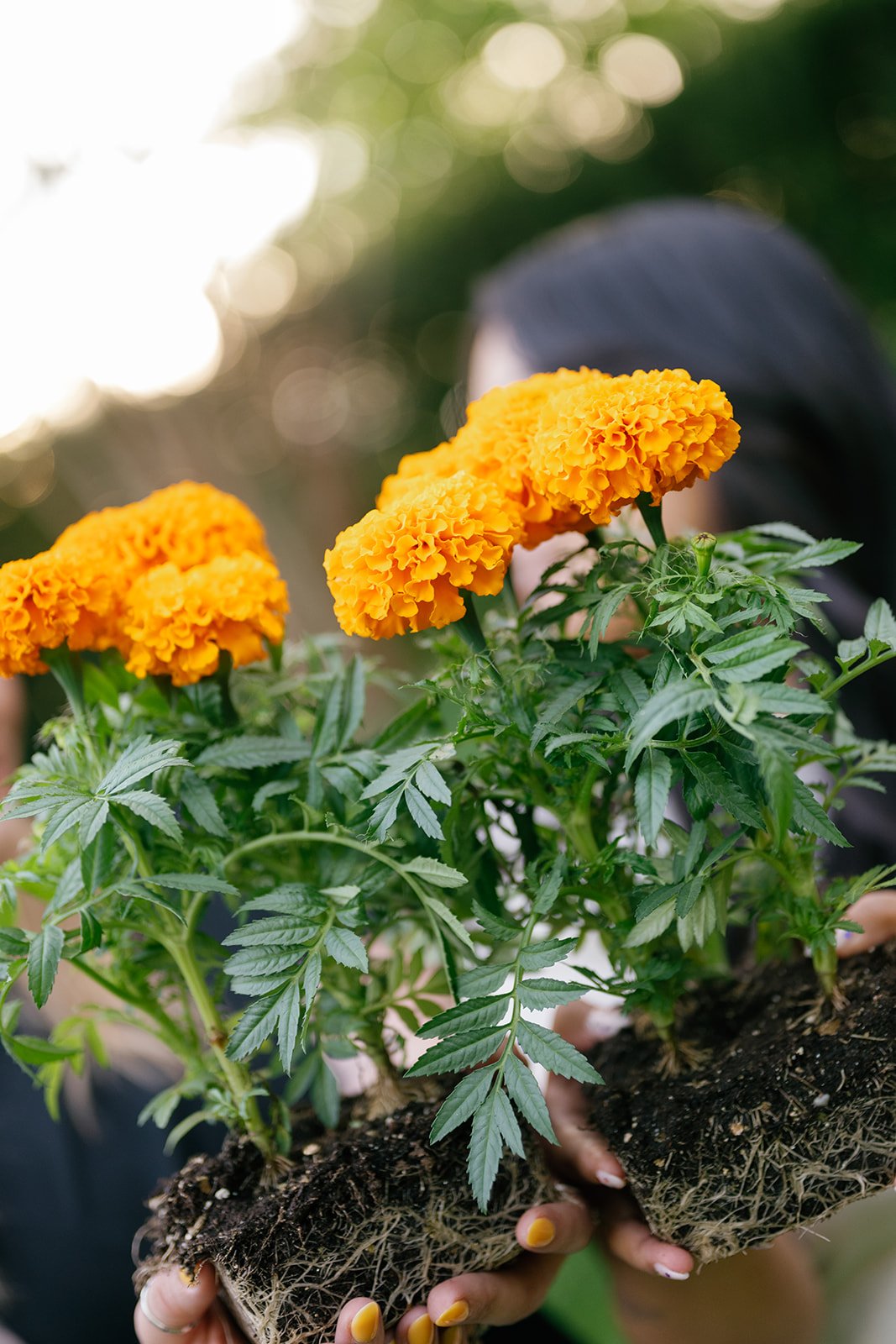 therapists holding marigold flowers