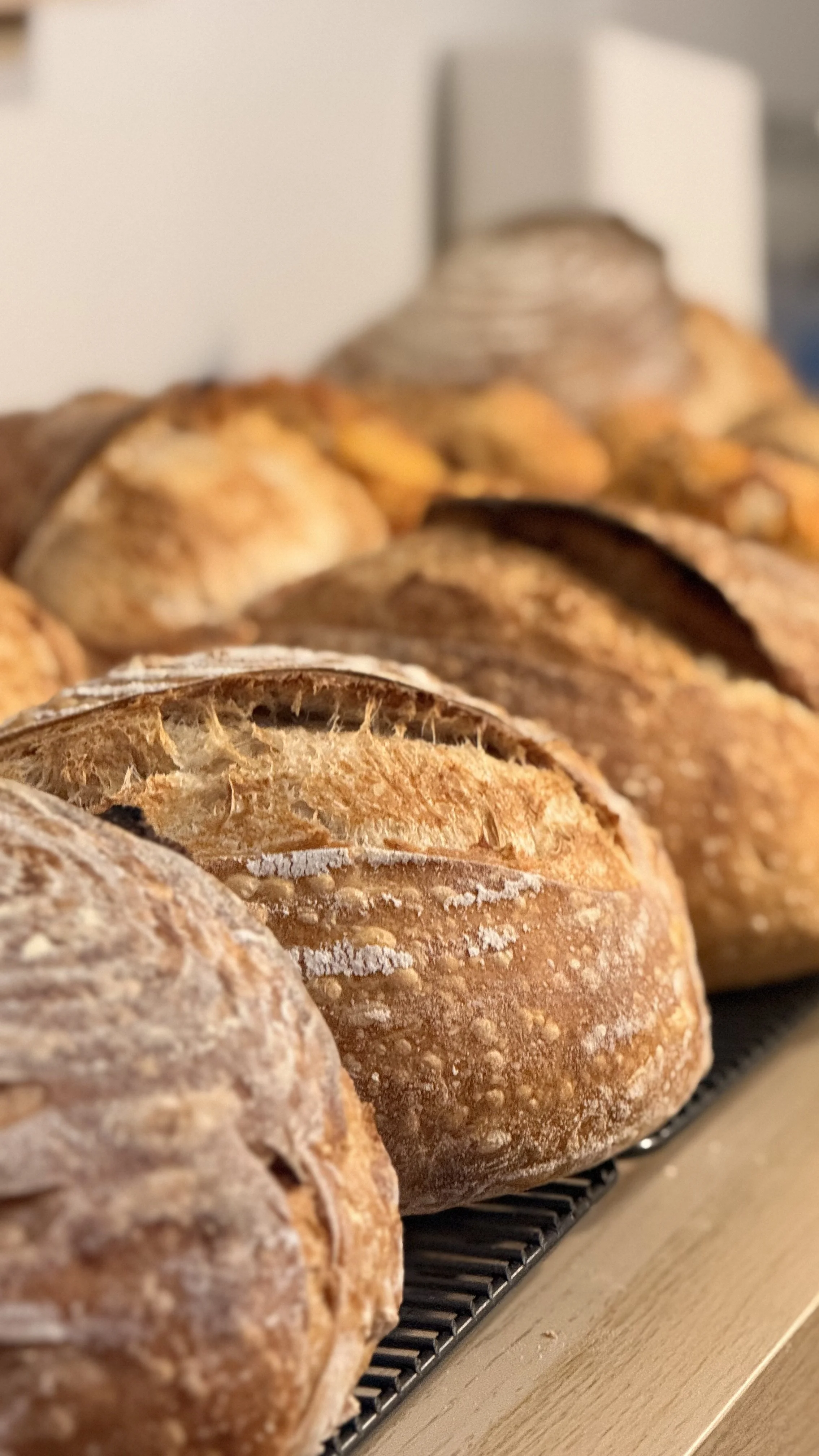 Sourdough Bread