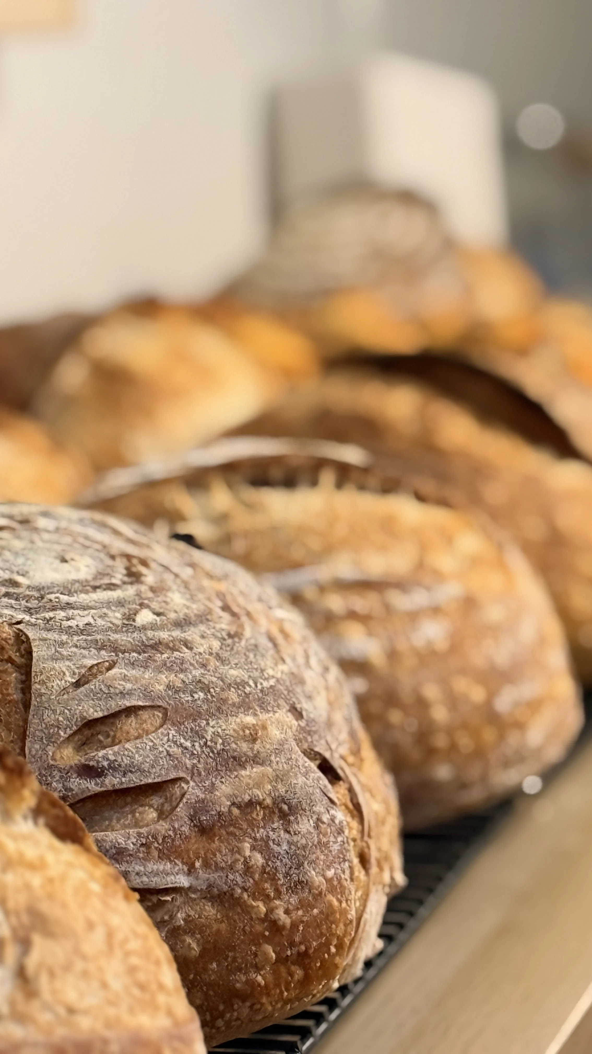 Close-up of freshly baked sourdough bread loaves on a wire rack.