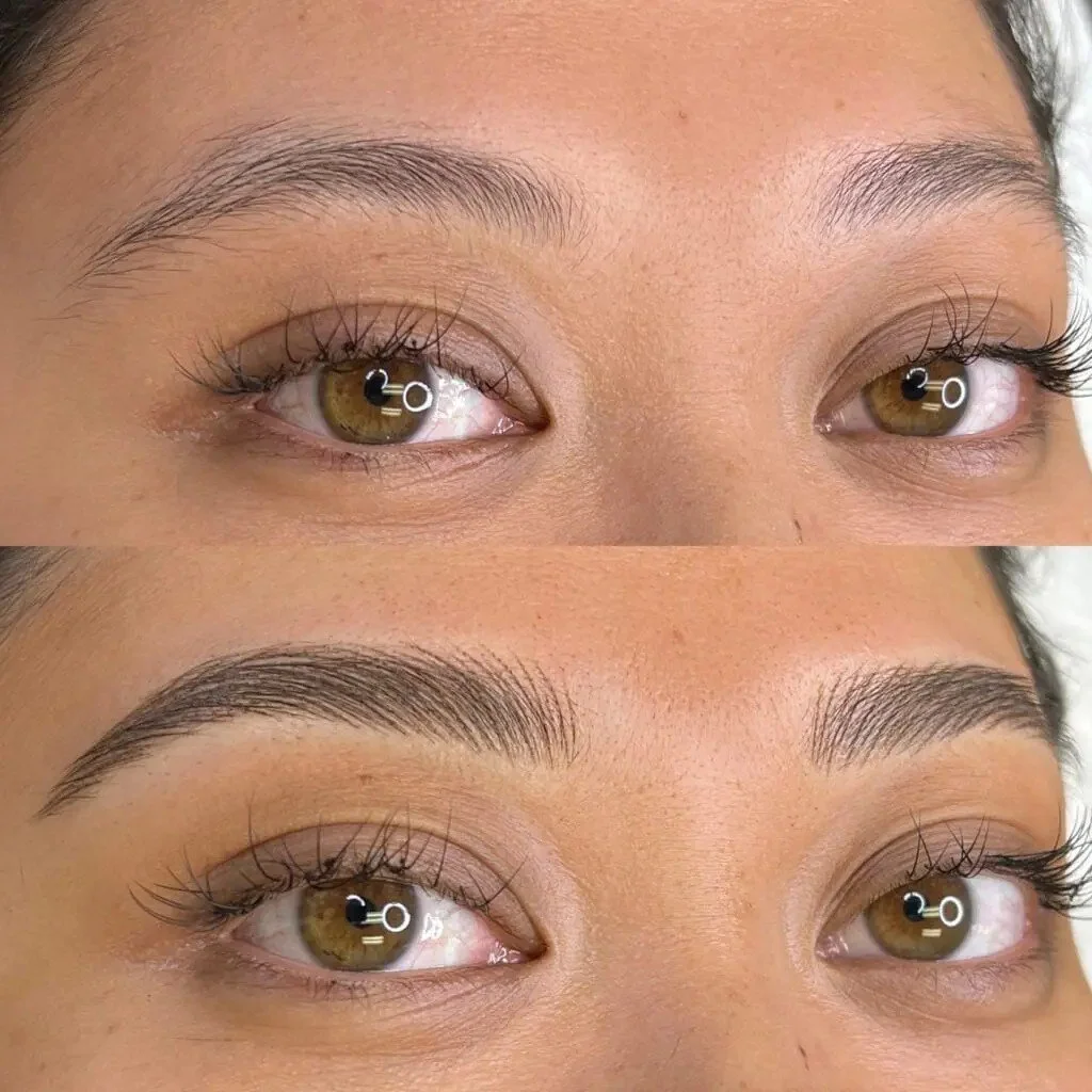NANO BROWS HB.jpg