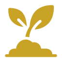 Silhouette of a small plant with two leaves growing from soil